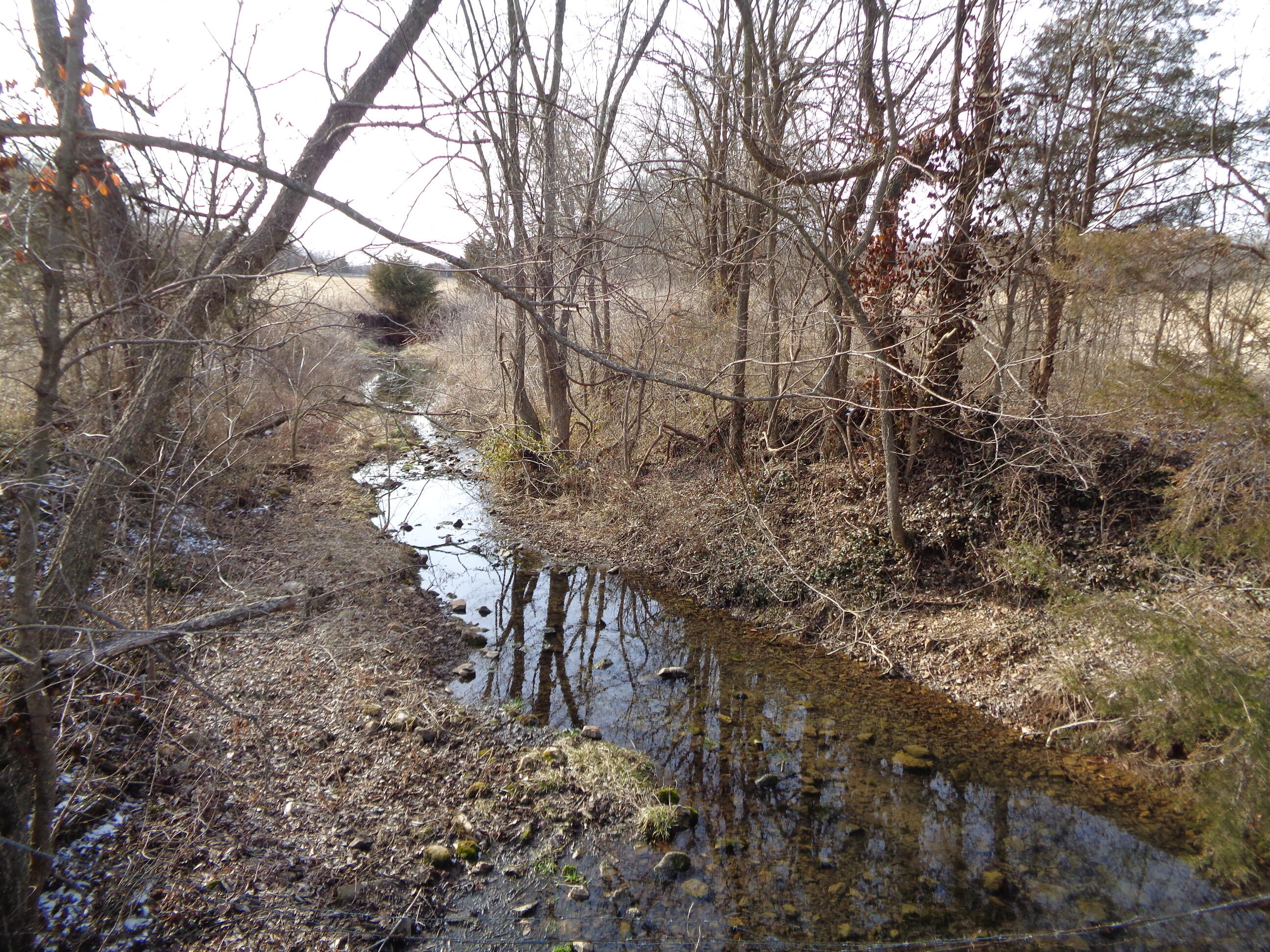 Photo 4 - Land for sale – Lot 3 S Farm Road 83   Springfield, MO