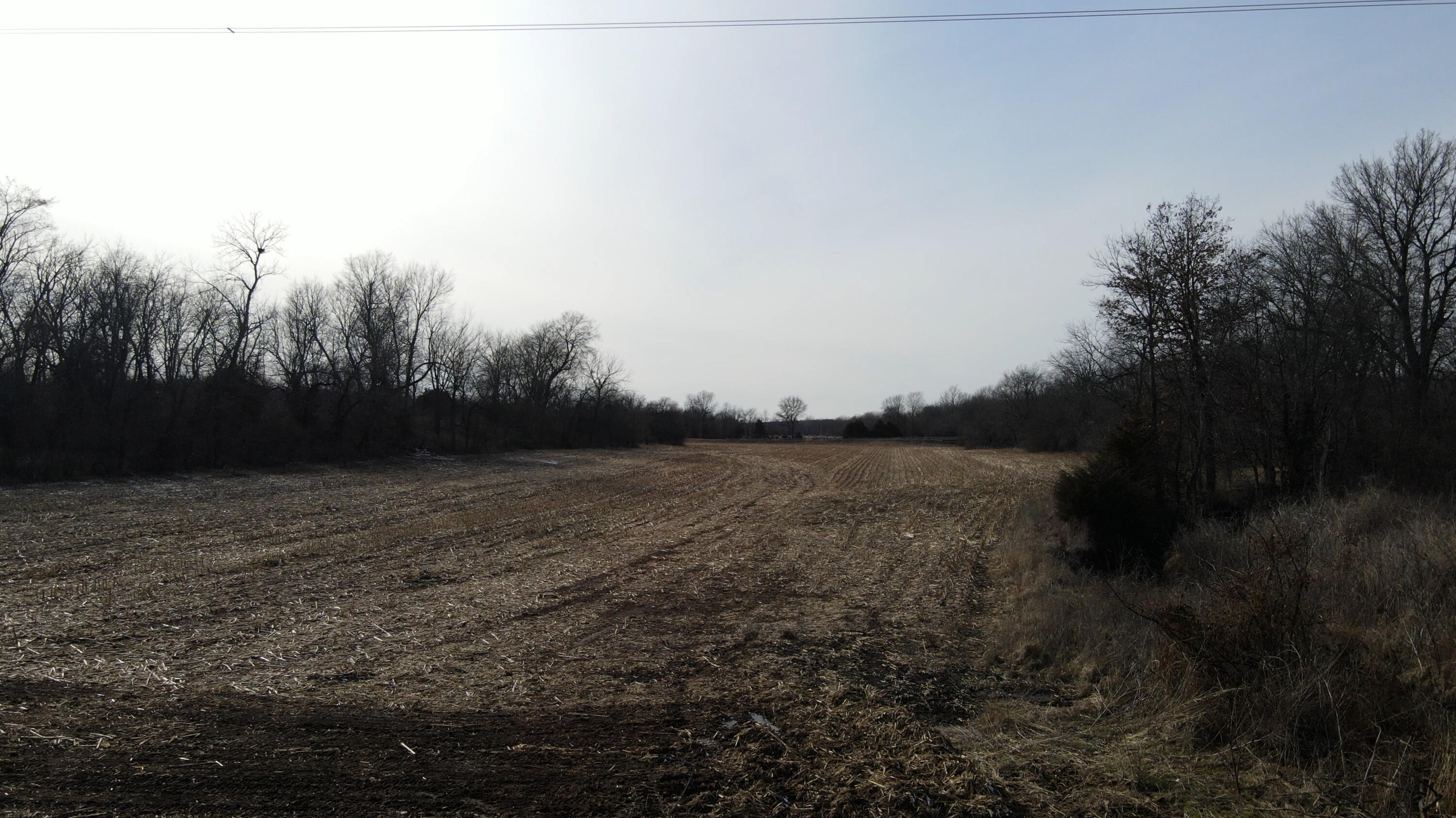 Photo 6 - Land for sale – Lot 3 S Farm Road 83   Springfield, MO