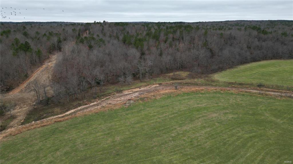 Photo 10 - Farm for sale – 15524  County Road 615   Birch Tree, MO