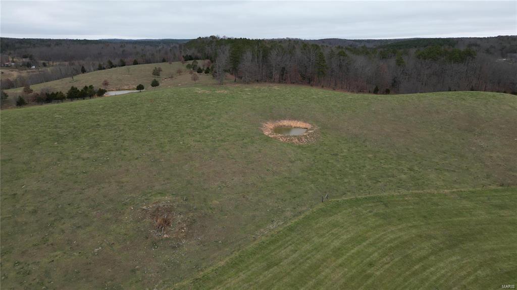 Photo 8 - Farm for sale – 15524  County Road 615   Birch Tree, MO