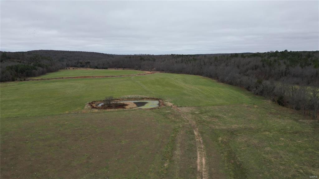Photo 5 - Farm for sale – 15524  County Road 615   Birch Tree, MO