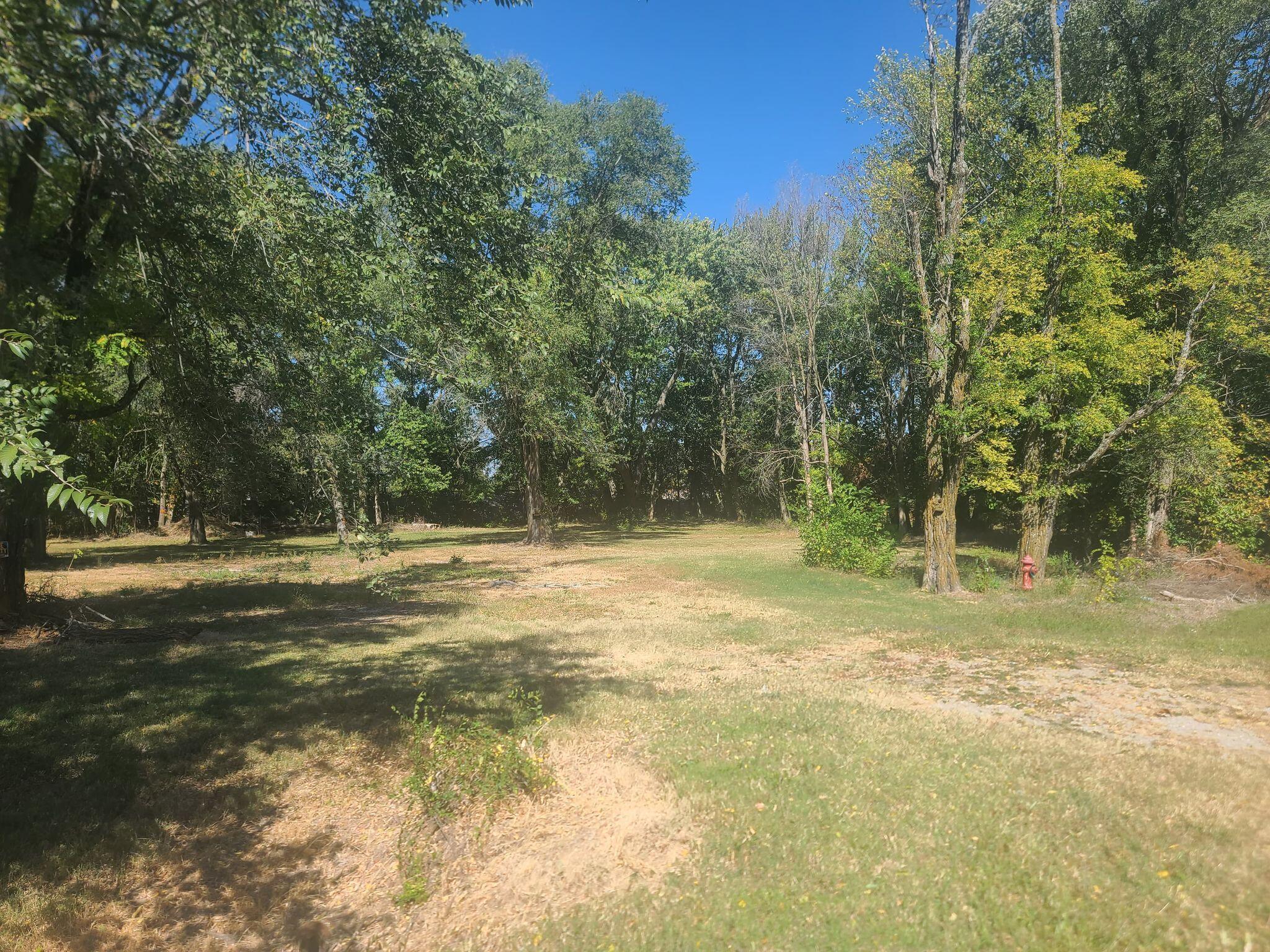 Photo 2 - Land for sale – 706  Us-60   Billings, MO