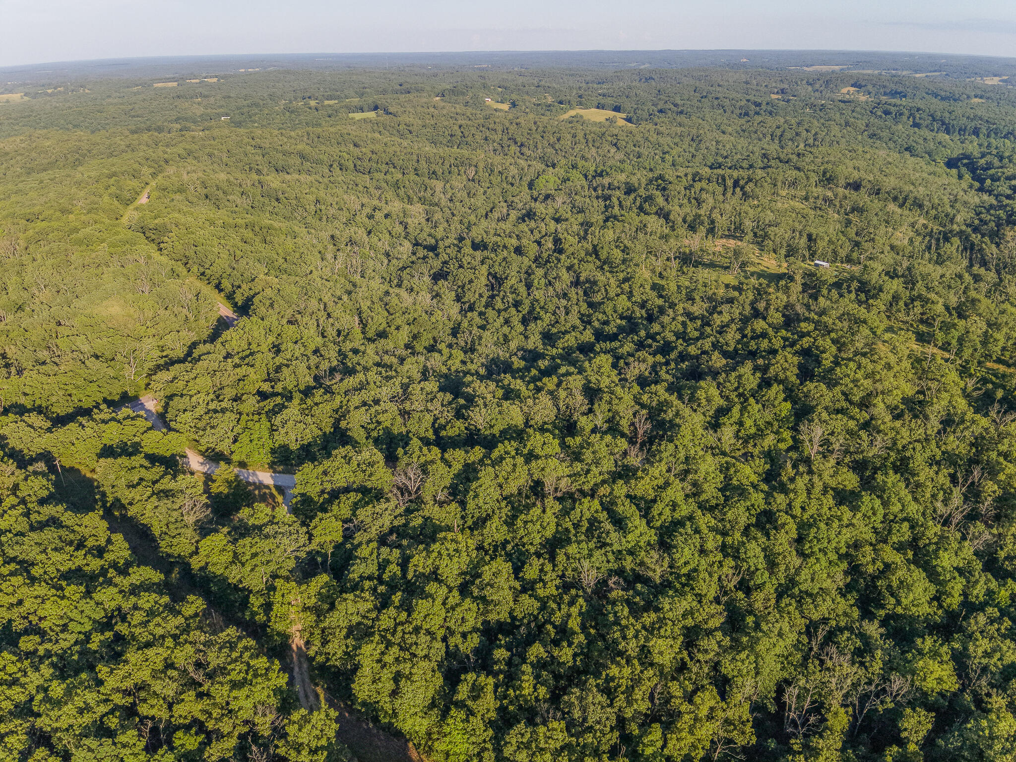 Photo 6 - Land for sale – Tbd  State Hwy Y   Willow Springs, MO
