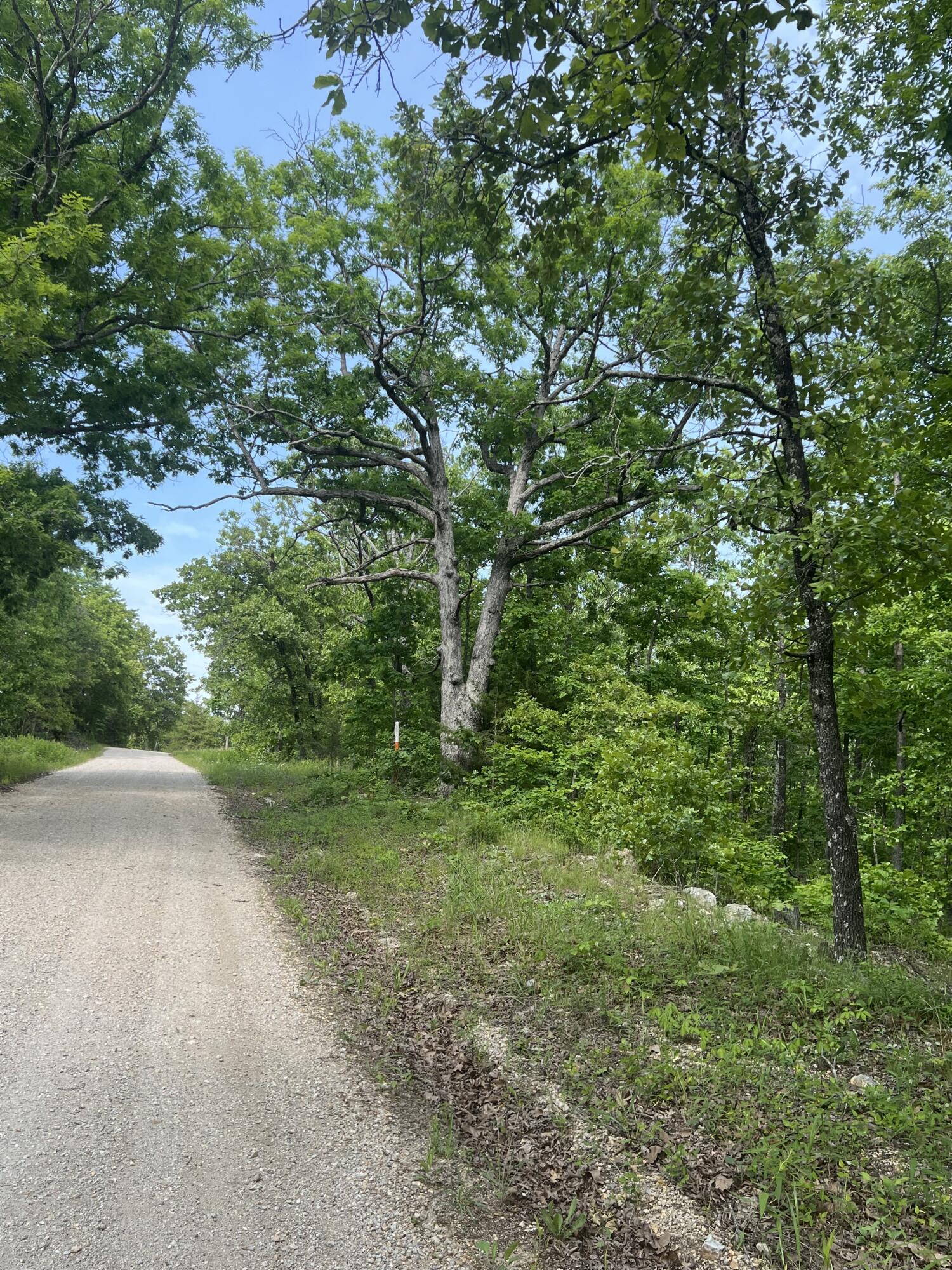 Photo 8 - Land for sale – Tbd  State Hwy Y   Willow Springs, MO