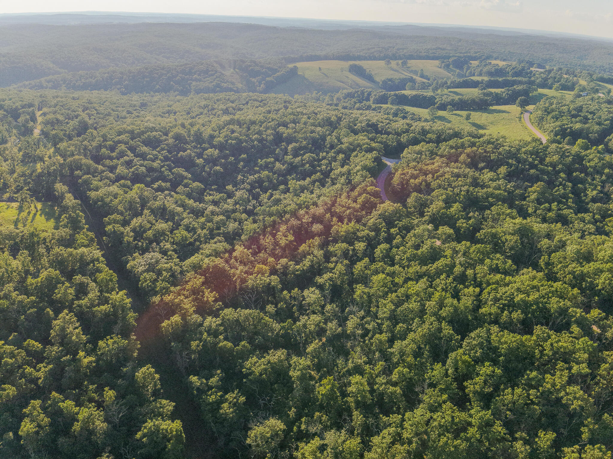 Photo 4 - Land for sale – Tbd  State Hwy Y   Willow Springs, MO