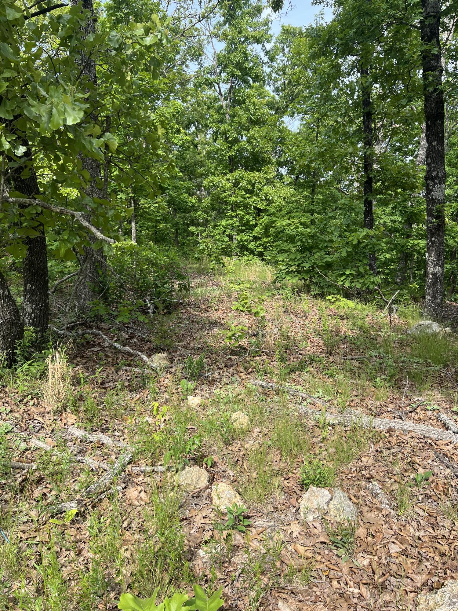 Photo 16 - Land for sale – Tbd  State Hwy Y   Willow Springs, MO