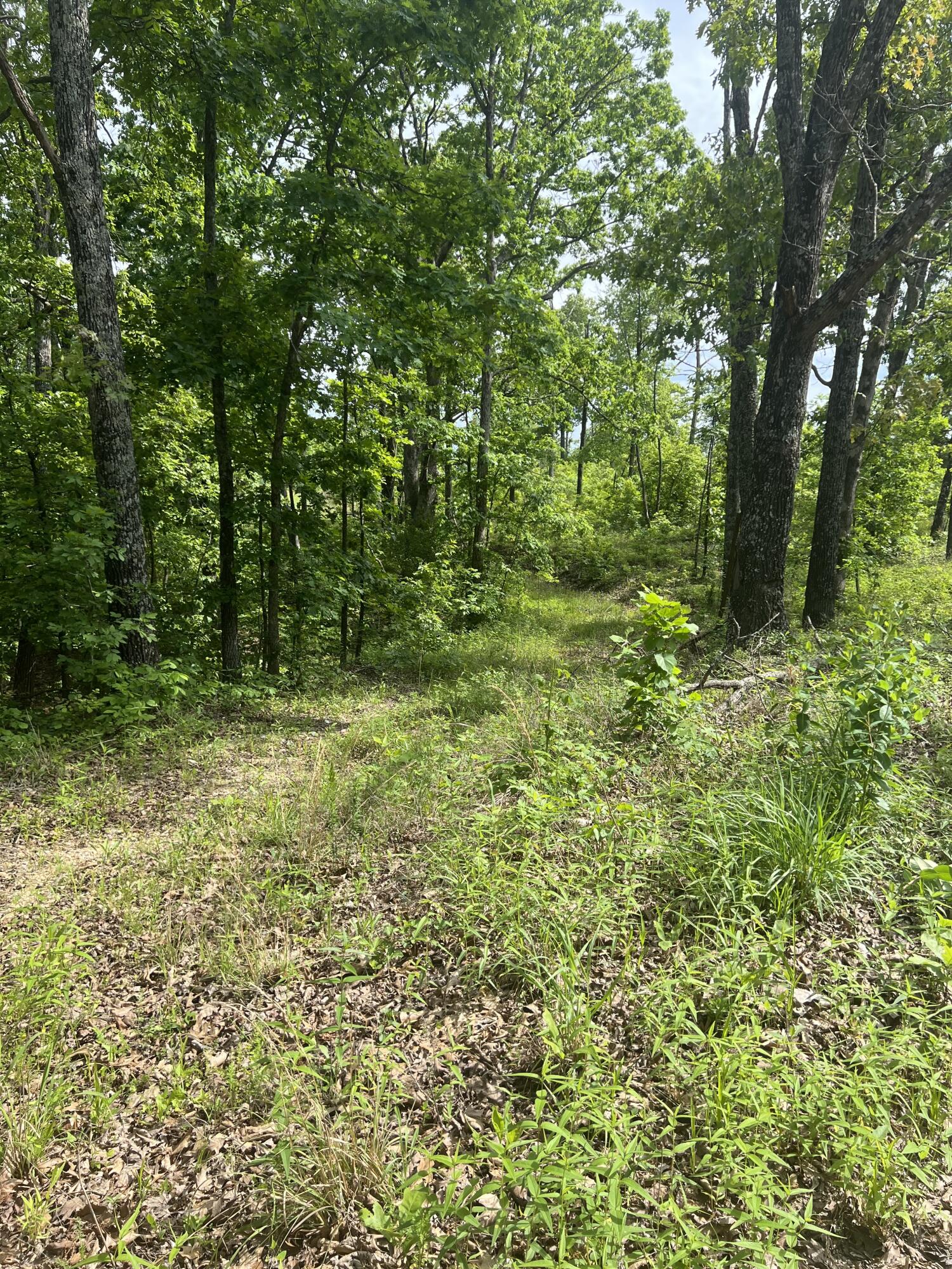 Photo 11 - Land for sale – Tbd  State Hwy Y   Willow Springs, MO