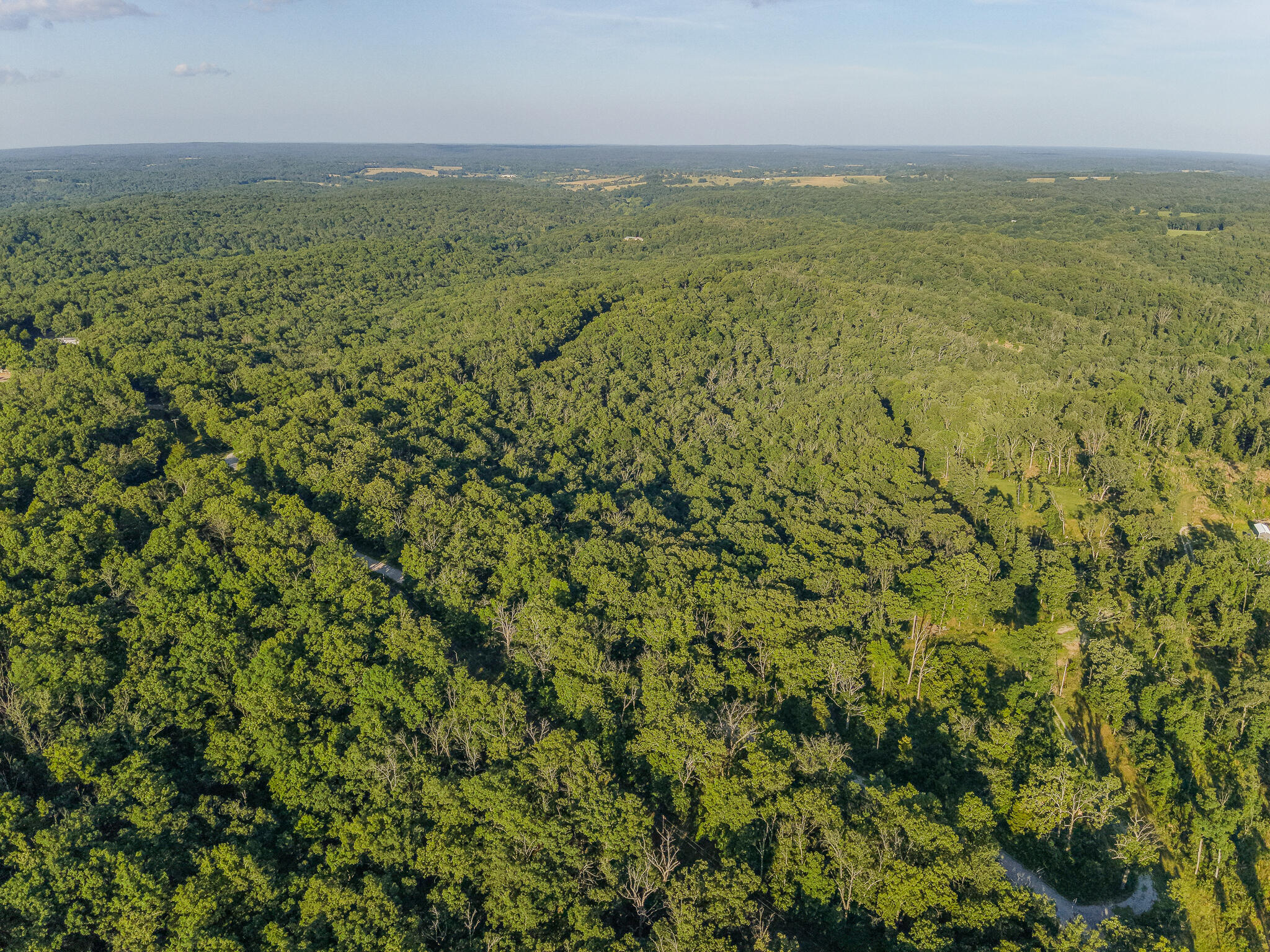 Photo 7 - Land for sale – Tbd  State Hwy Y   Willow Springs, MO