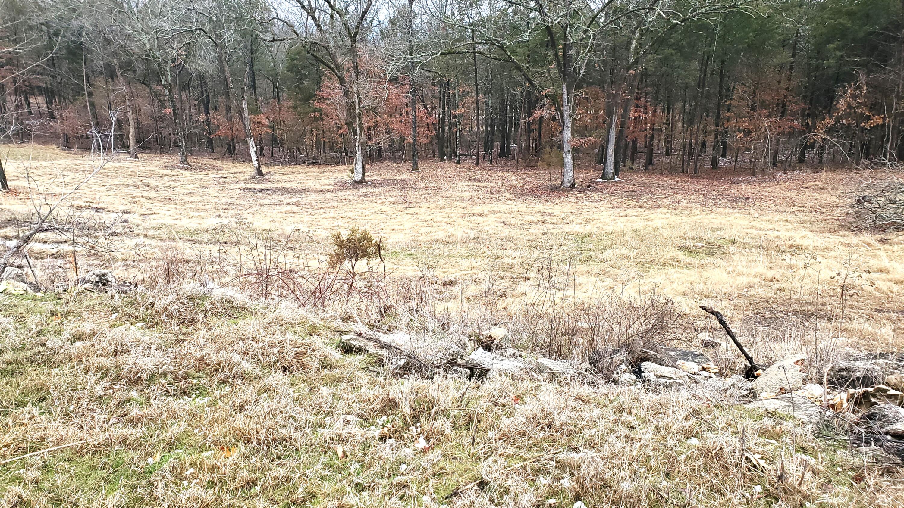 Land for sale – 000  Lot 177 Silver Sunset Lane   Kimberling City, MO