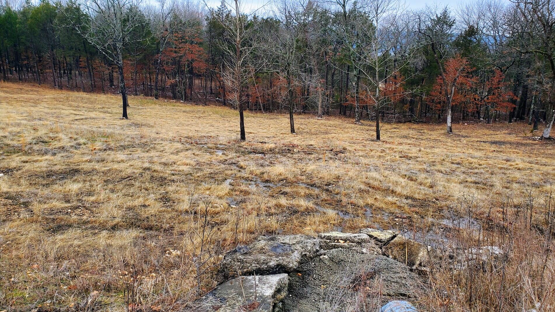 Land for sale – 000  Lot 178 Silver Sunset Lane   Kimberling City, MO