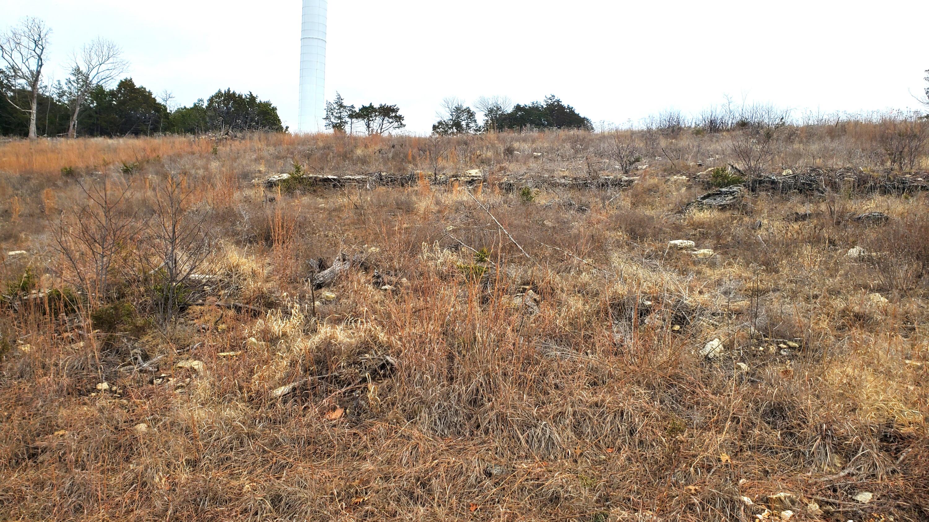 Land for sale – 000 Lot 252 Silver Sunset Lane Kimberling City, MO