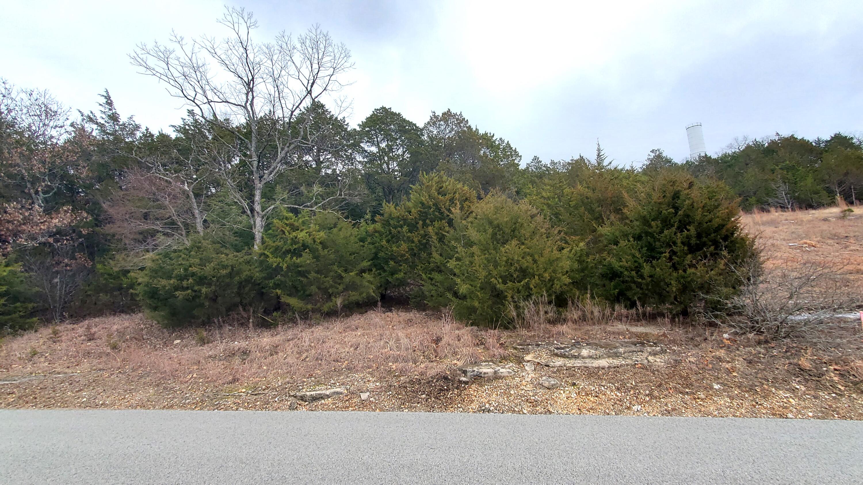 Photo 2 - Land for sale – 000  Lot 256 Silver Sunset Lane   Kimberling City, MO