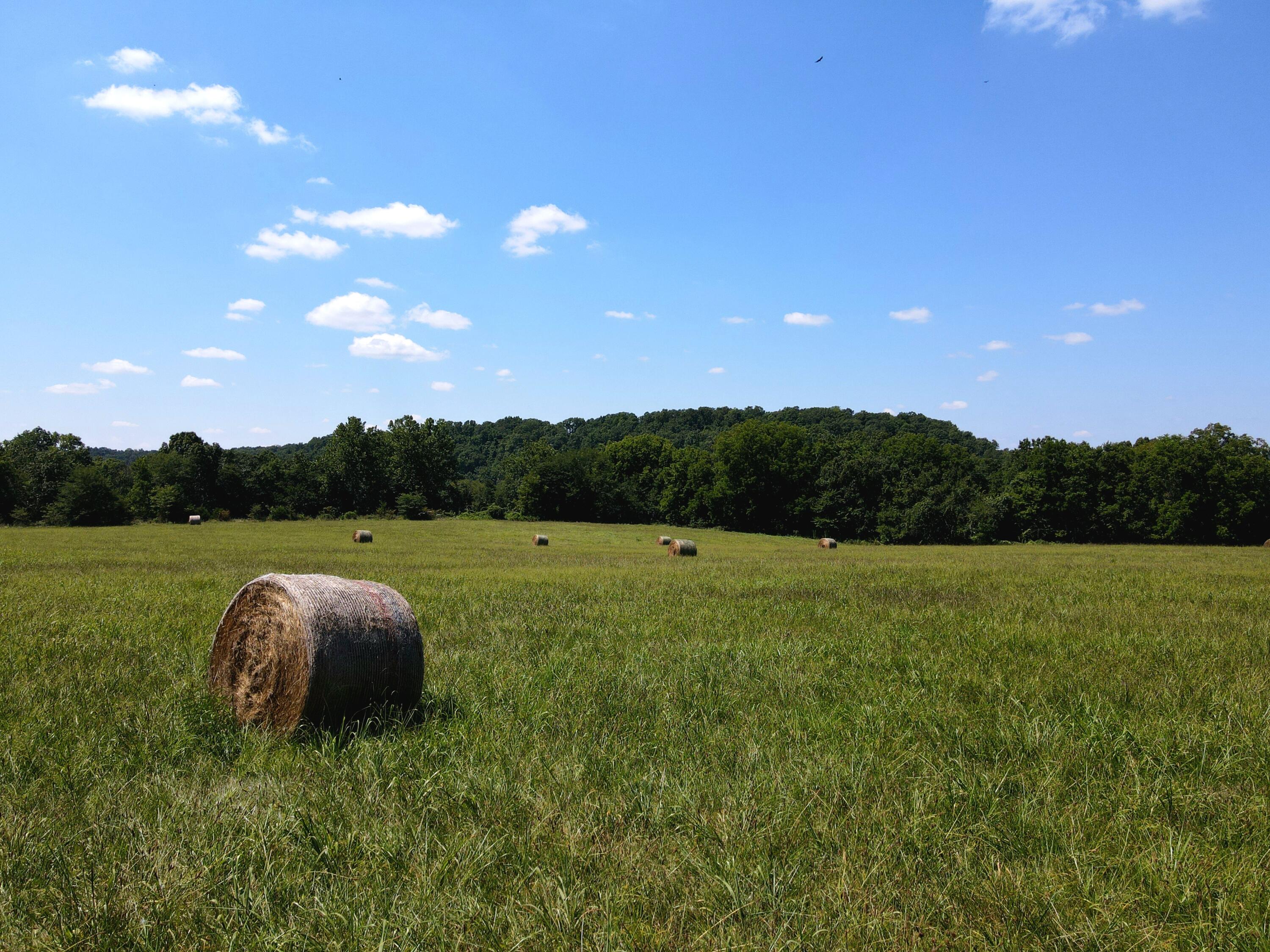 Photo 3 - Land for sale – 000  State Highway Kk   Fordland, MO