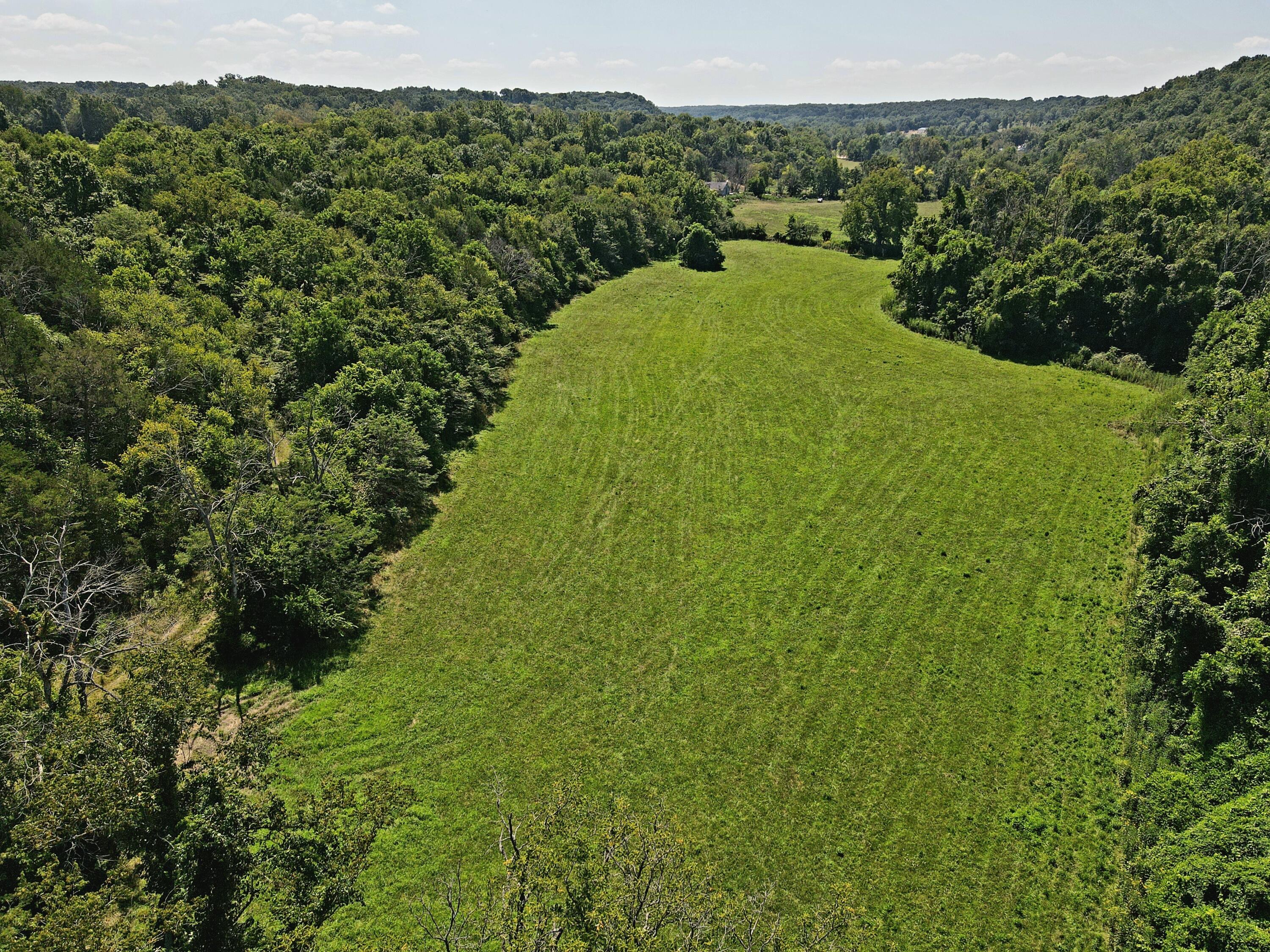 Photo 13 - Land for sale – 000  State Highway Kk   Fordland, MO