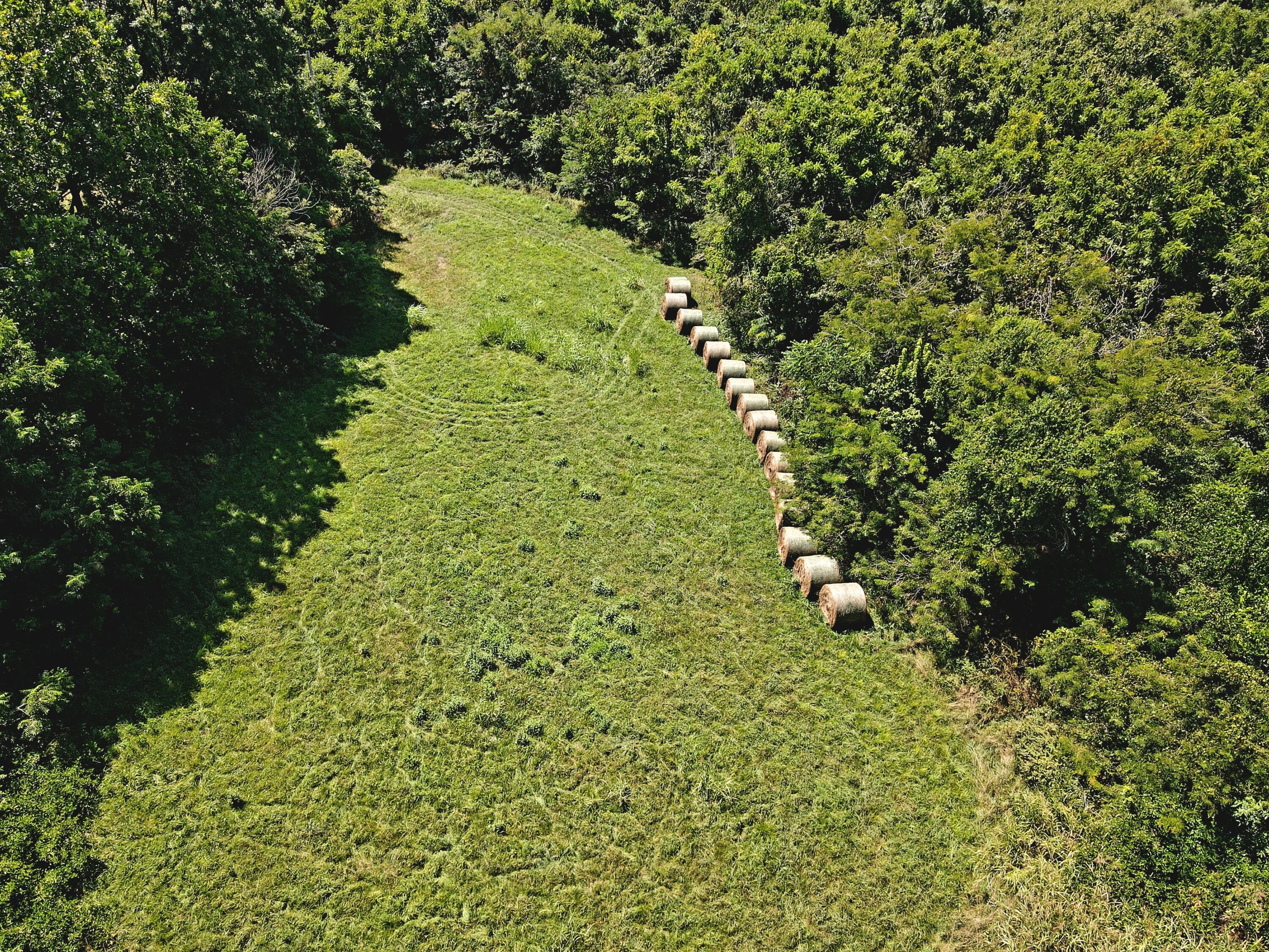 Photo 10 - Land for sale – 000  State Highway Kk   Fordland, MO