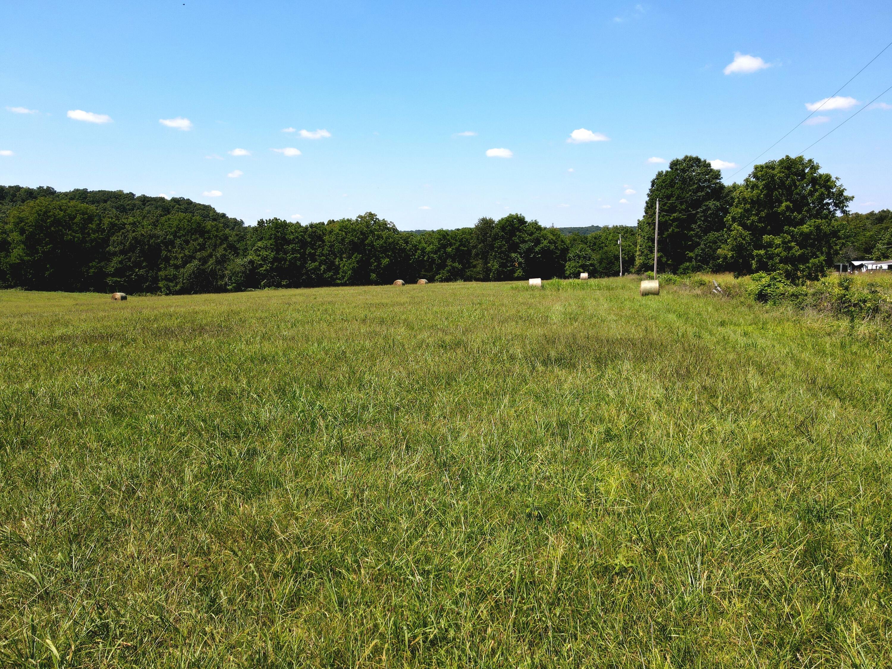 Photo 2 - Land for sale – 000  State Highway Kk   Fordland, MO