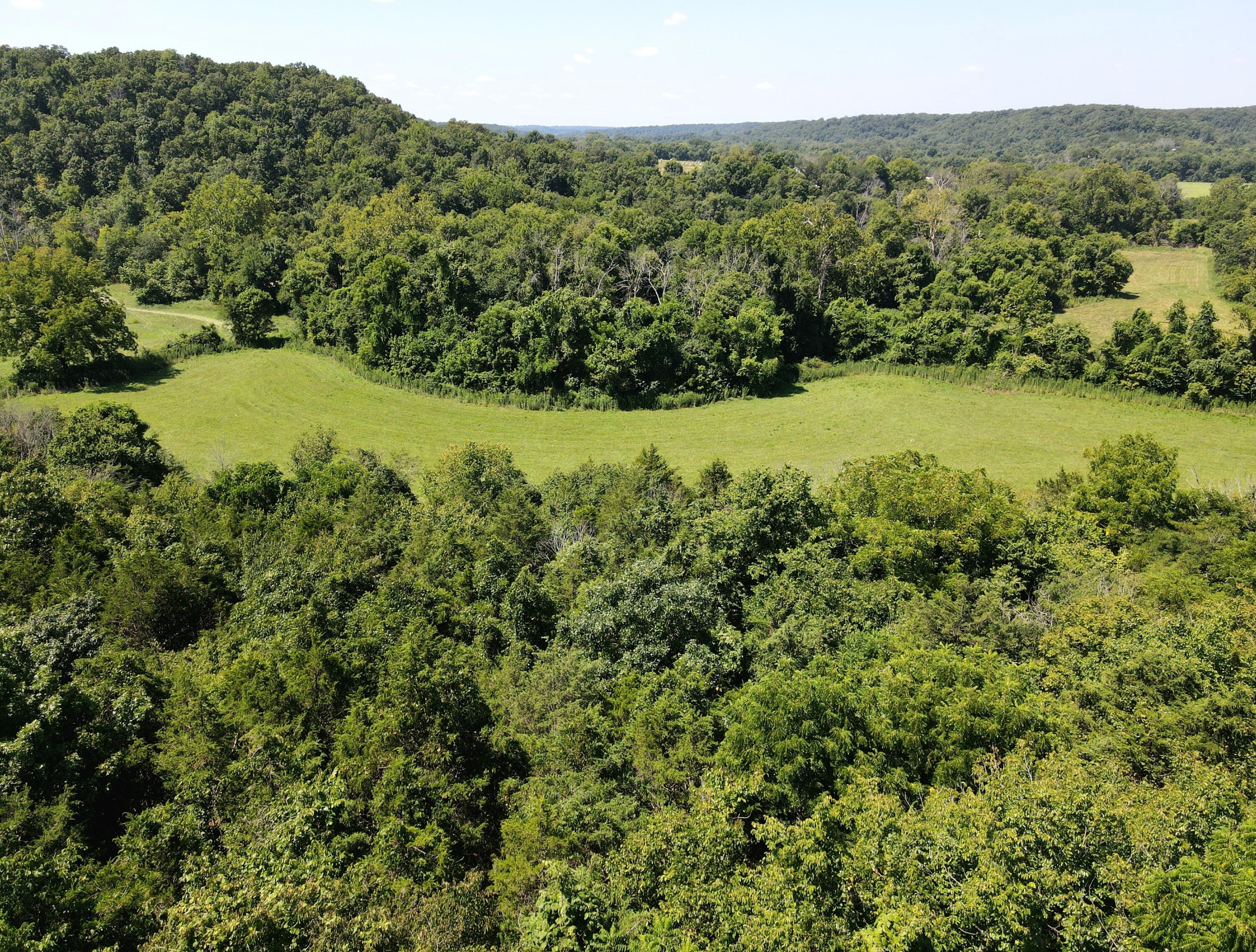Photo 12 - Land for sale – 000  State Highway Kk   Fordland, MO