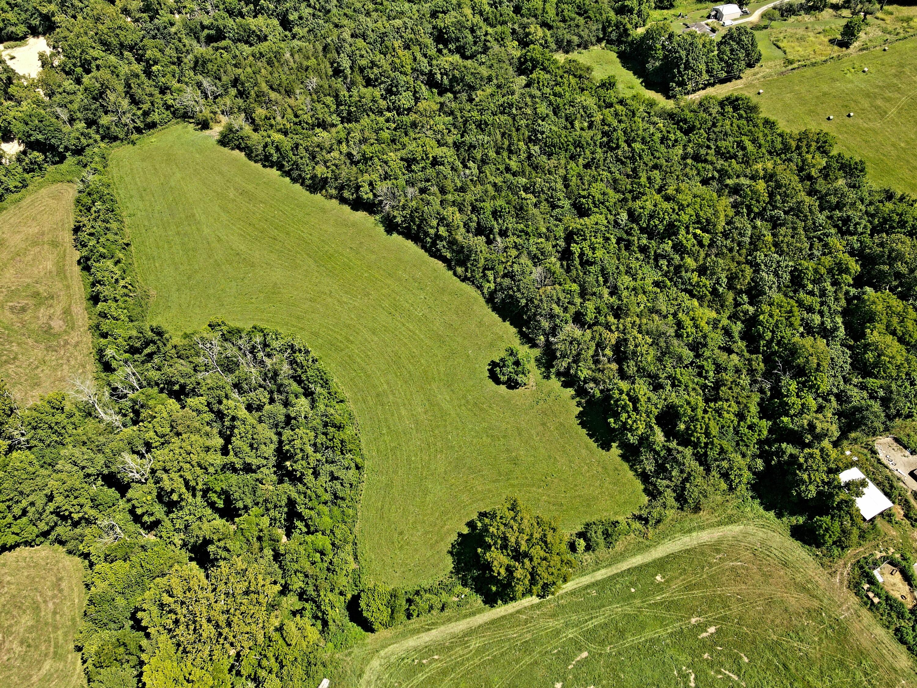 Photo 4 - Land for sale – 000  State Highway Kk   Fordland, MO