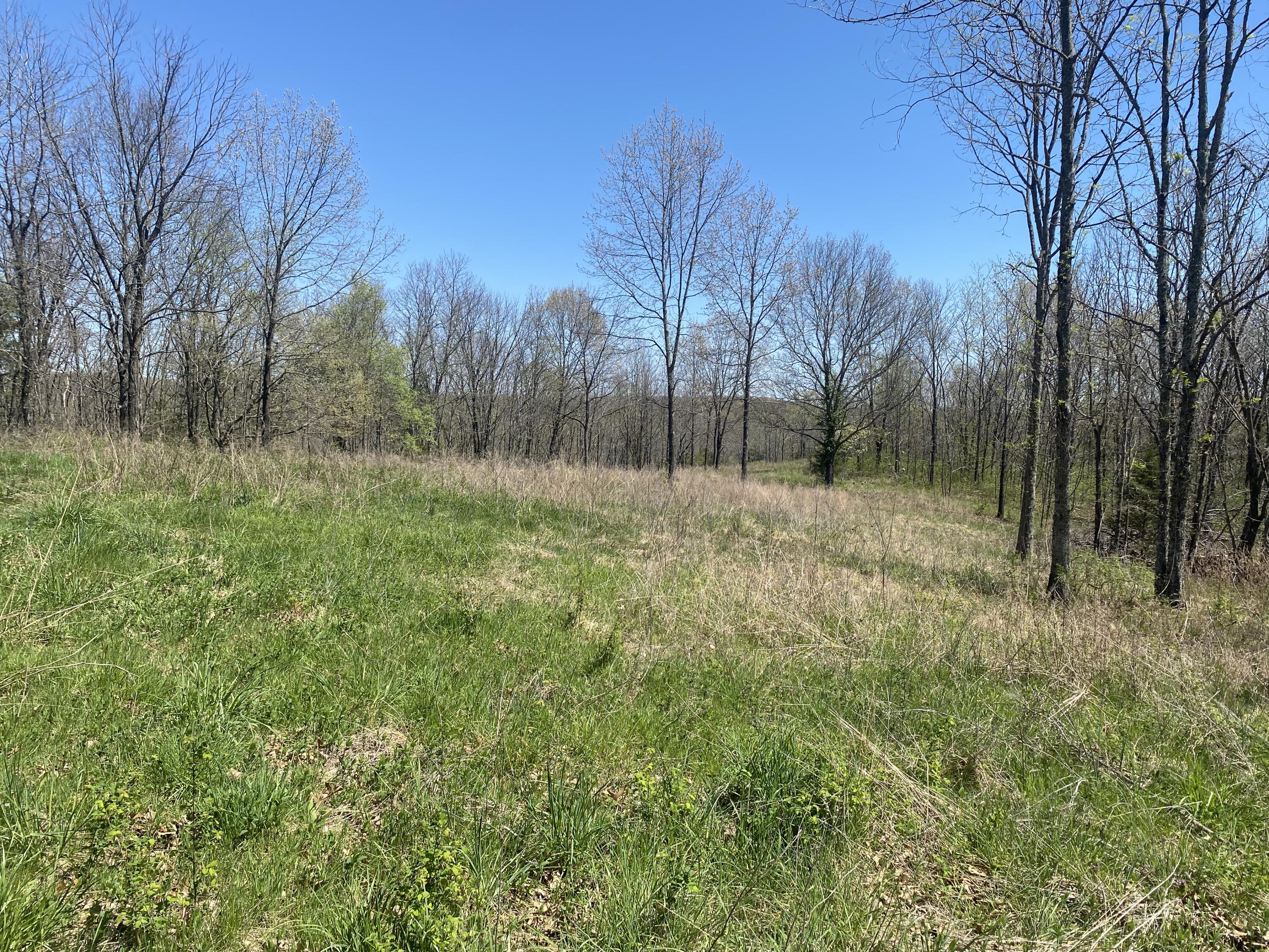 Land for sale – 000  Joshua Tree   Highlandville, MO