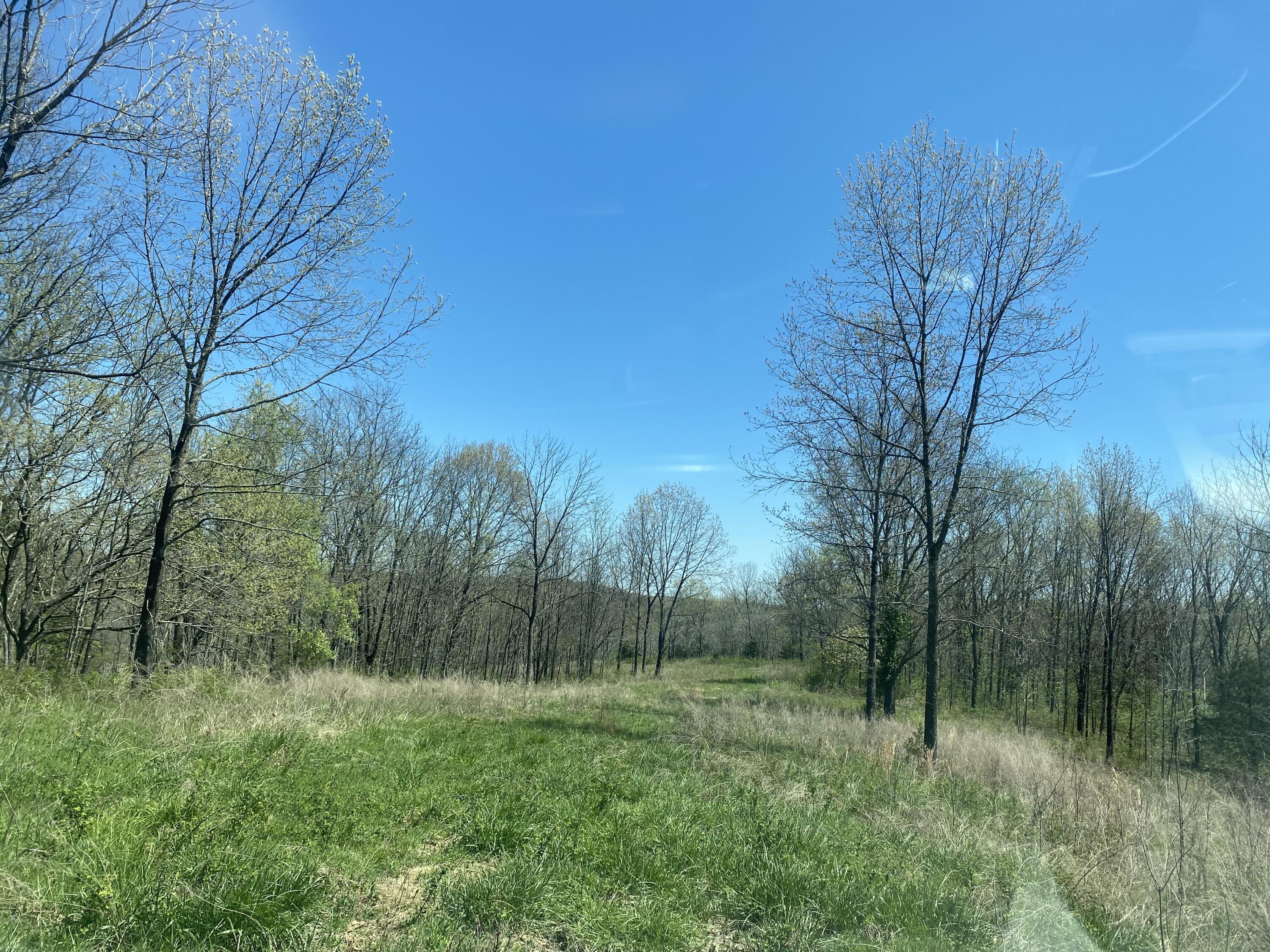 Photo 3 - Land for sale – 000  Joshua Tree   Highlandville, MO