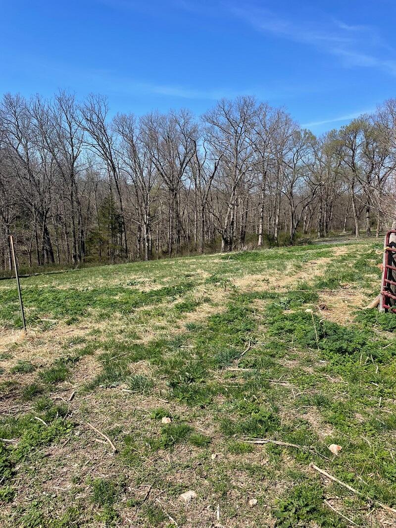 Photo 10 - Farm for sale – 5620  Silver Lake Road  Clever, MO