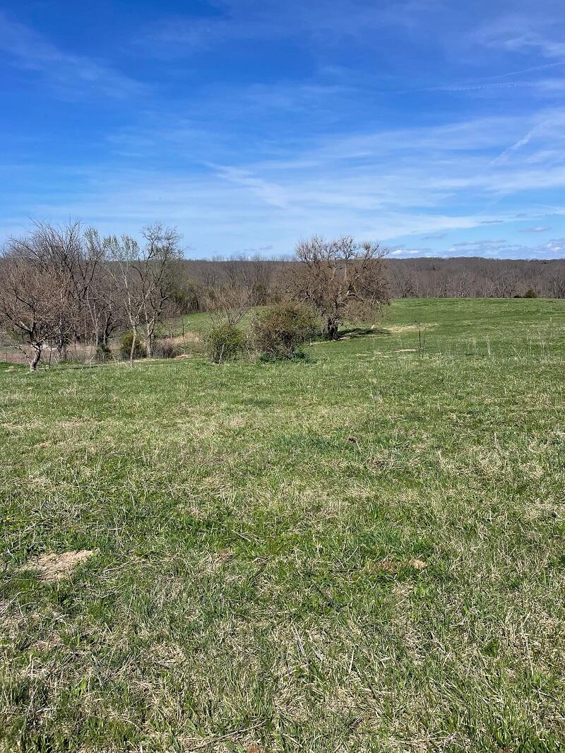 Photo 2 - Farm for sale – 5620  Silver Lake Road  Clever, MO