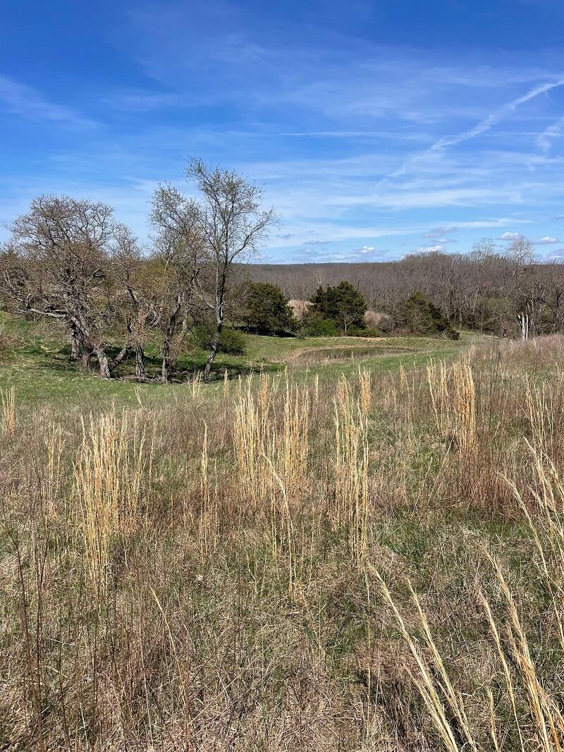 Photo 12 - Farm for sale – 5620  Silver Lake Road  Clever, MO