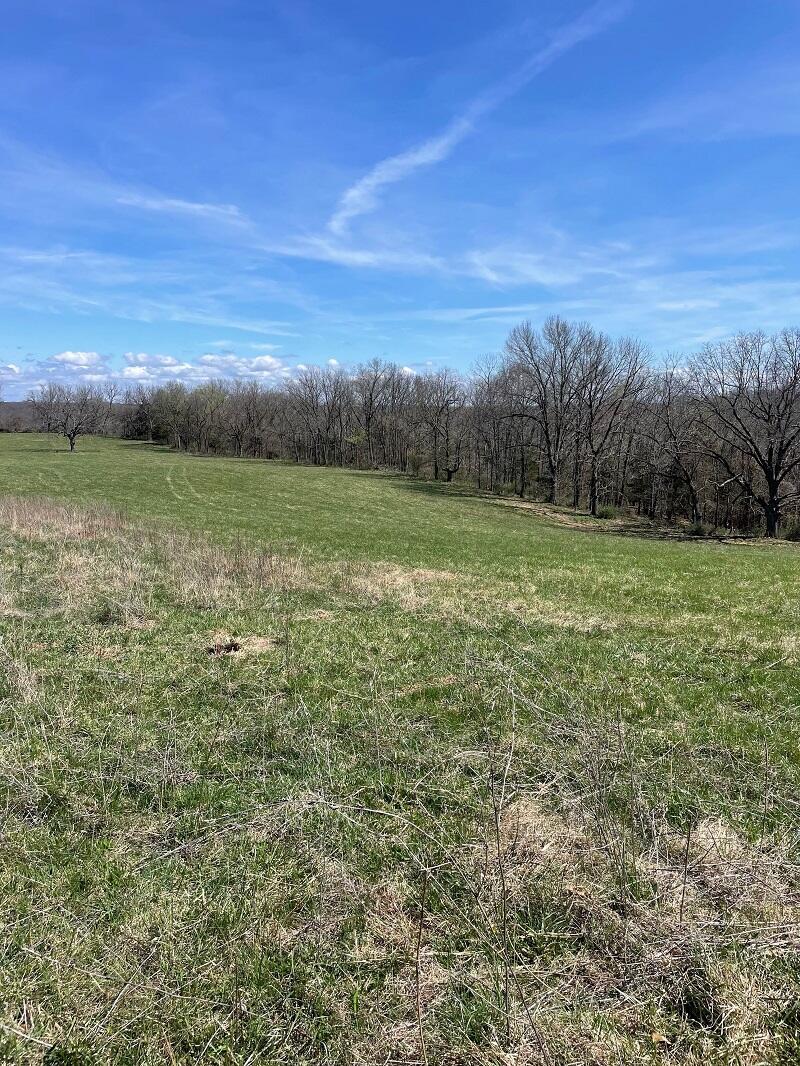 Photo 11 - Farm for sale – 5620  Silver Lake Road  Clever, MO