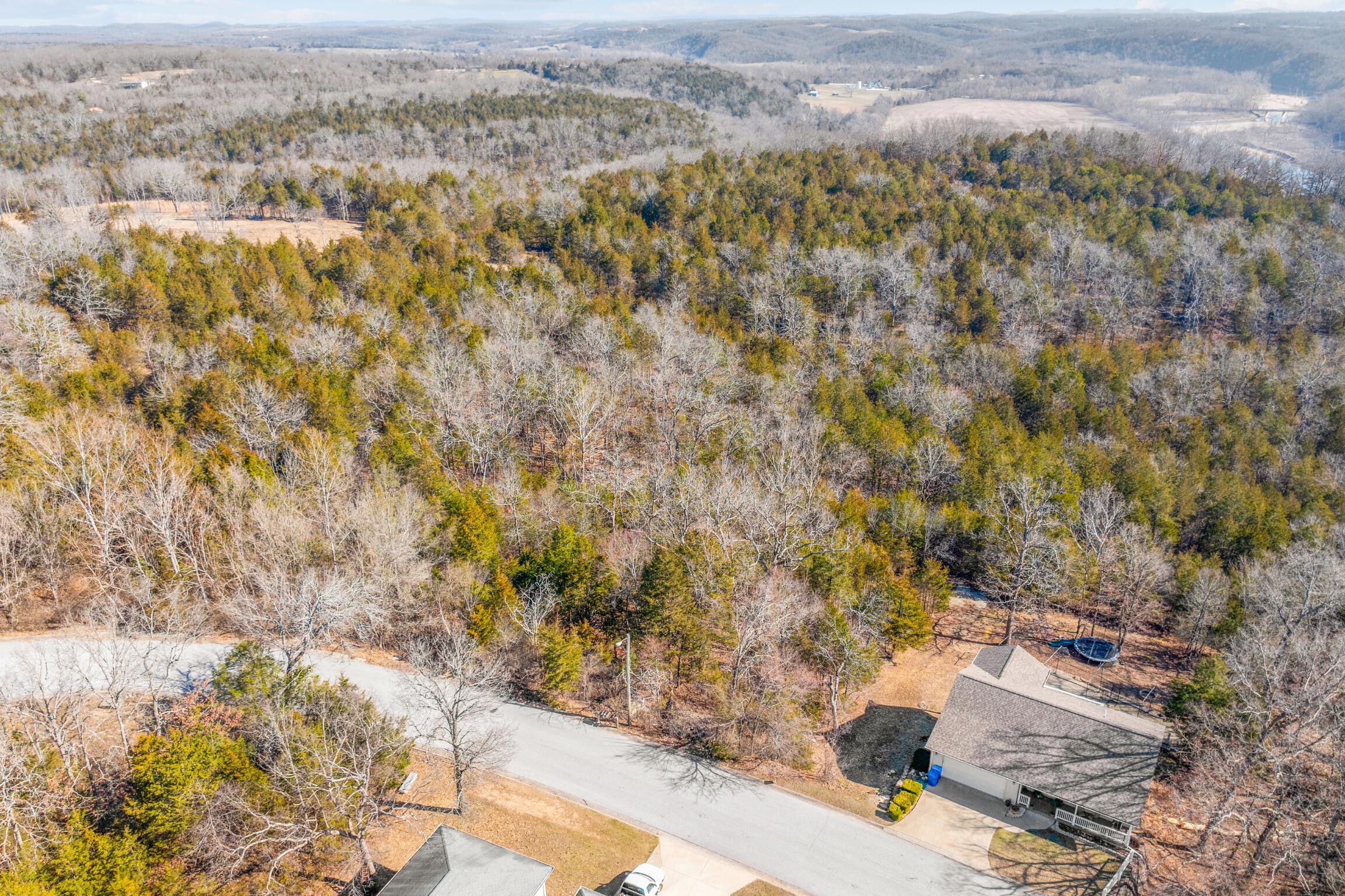 Photo 5 - Land for sale – Lots  62 & 63 Eagle   Forsyth, MO