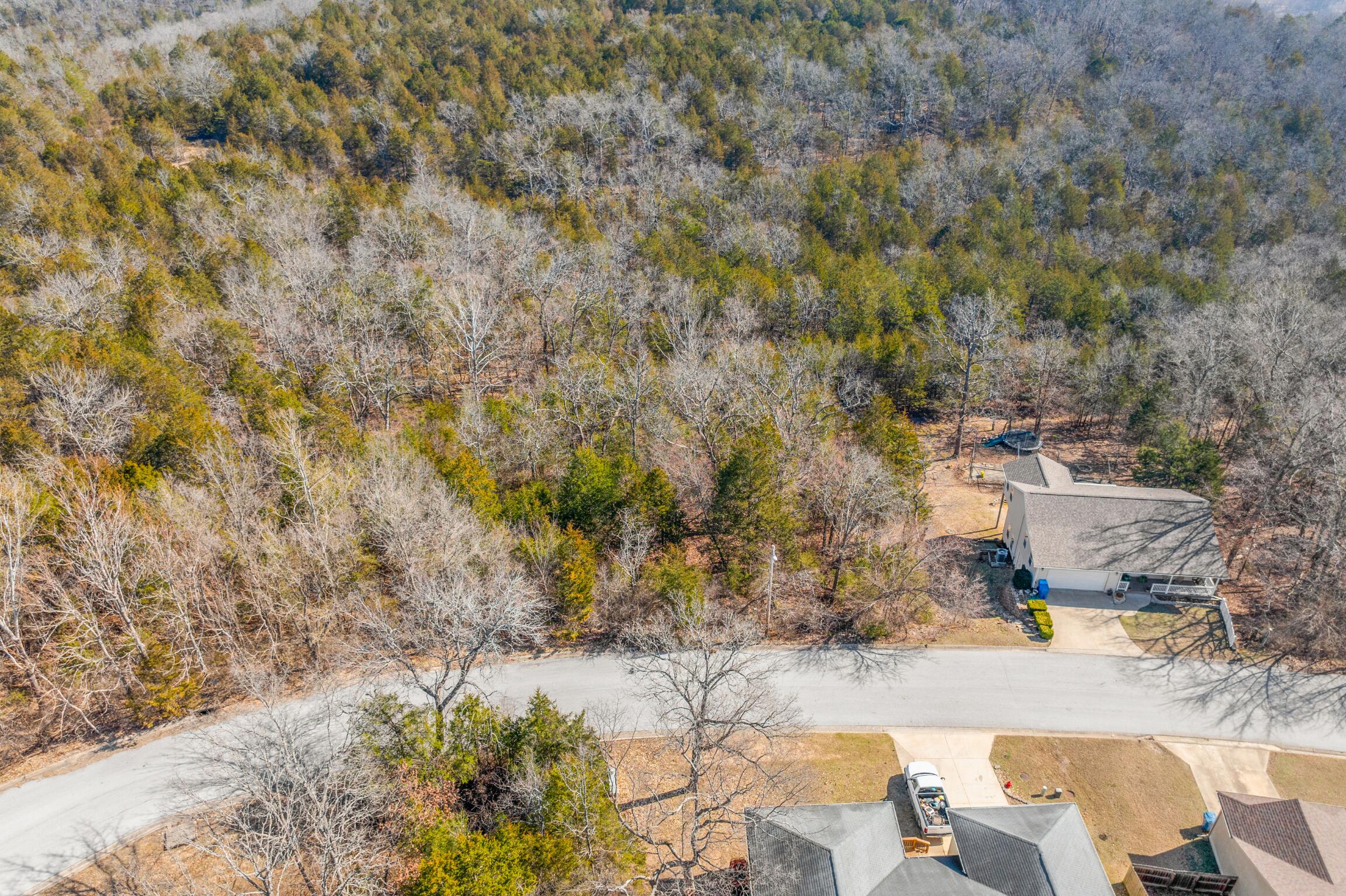 Photo 4 - Land for sale – Lots  62 & 63 Eagle   Forsyth, MO