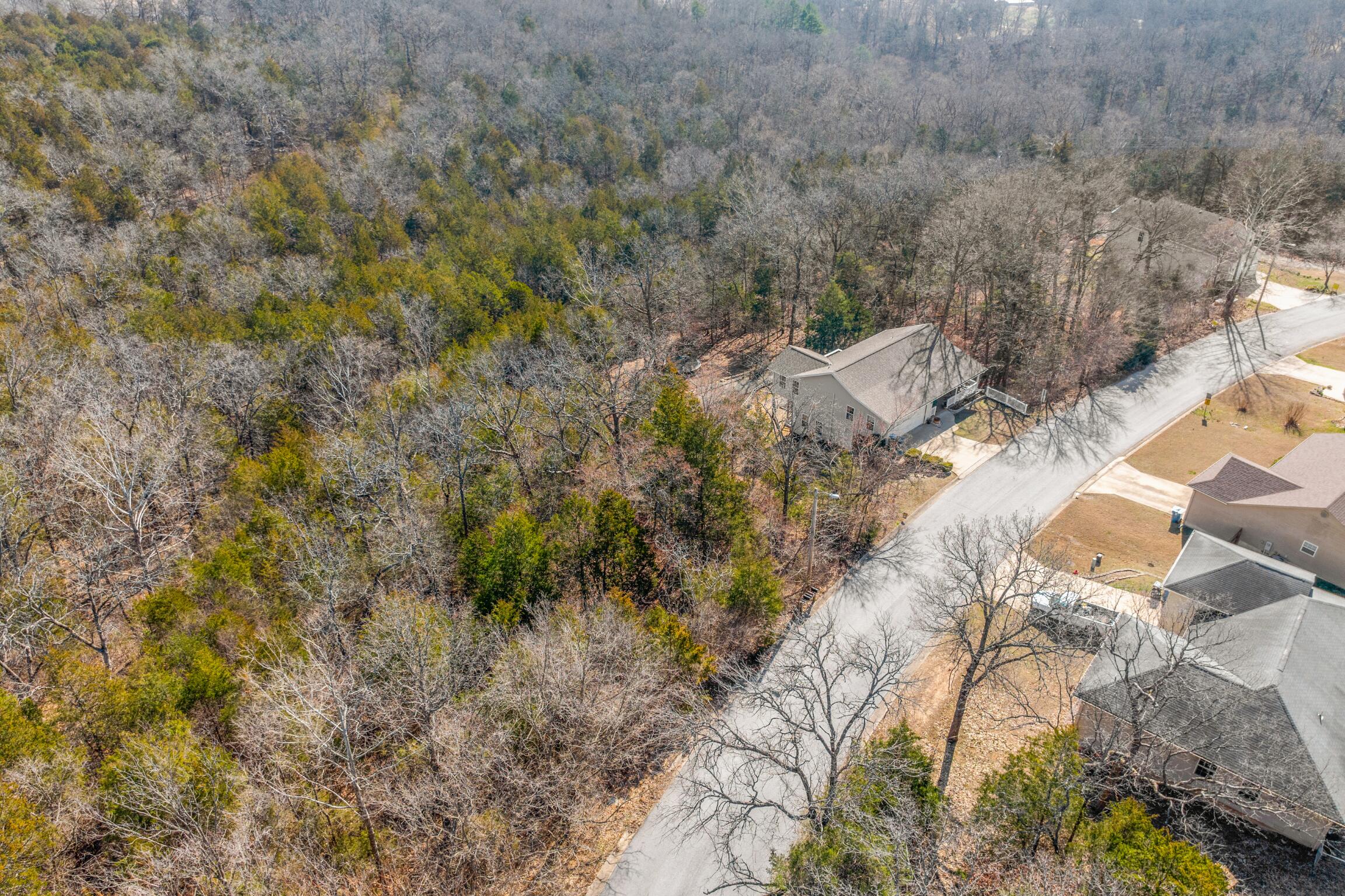 Photo 3 - Land for sale – Lots  62 & 63 Eagle   Forsyth, MO