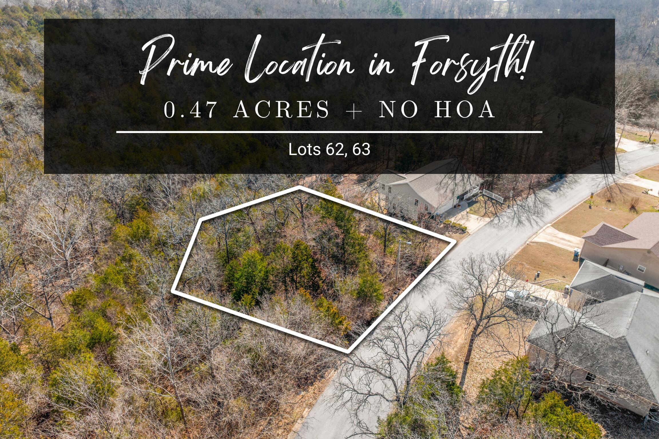 Land for sale – Lots  62 & 63 Eagle   Forsyth, MO