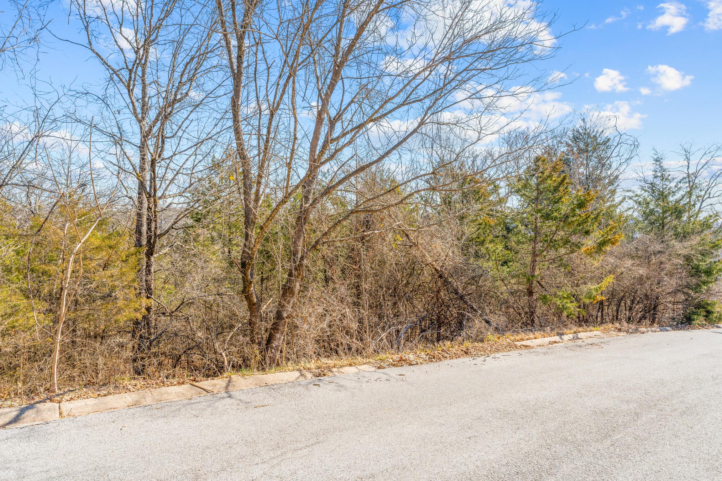 Photo 2 - Land for sale – Lots  62 & 63 Eagle   Forsyth, MO