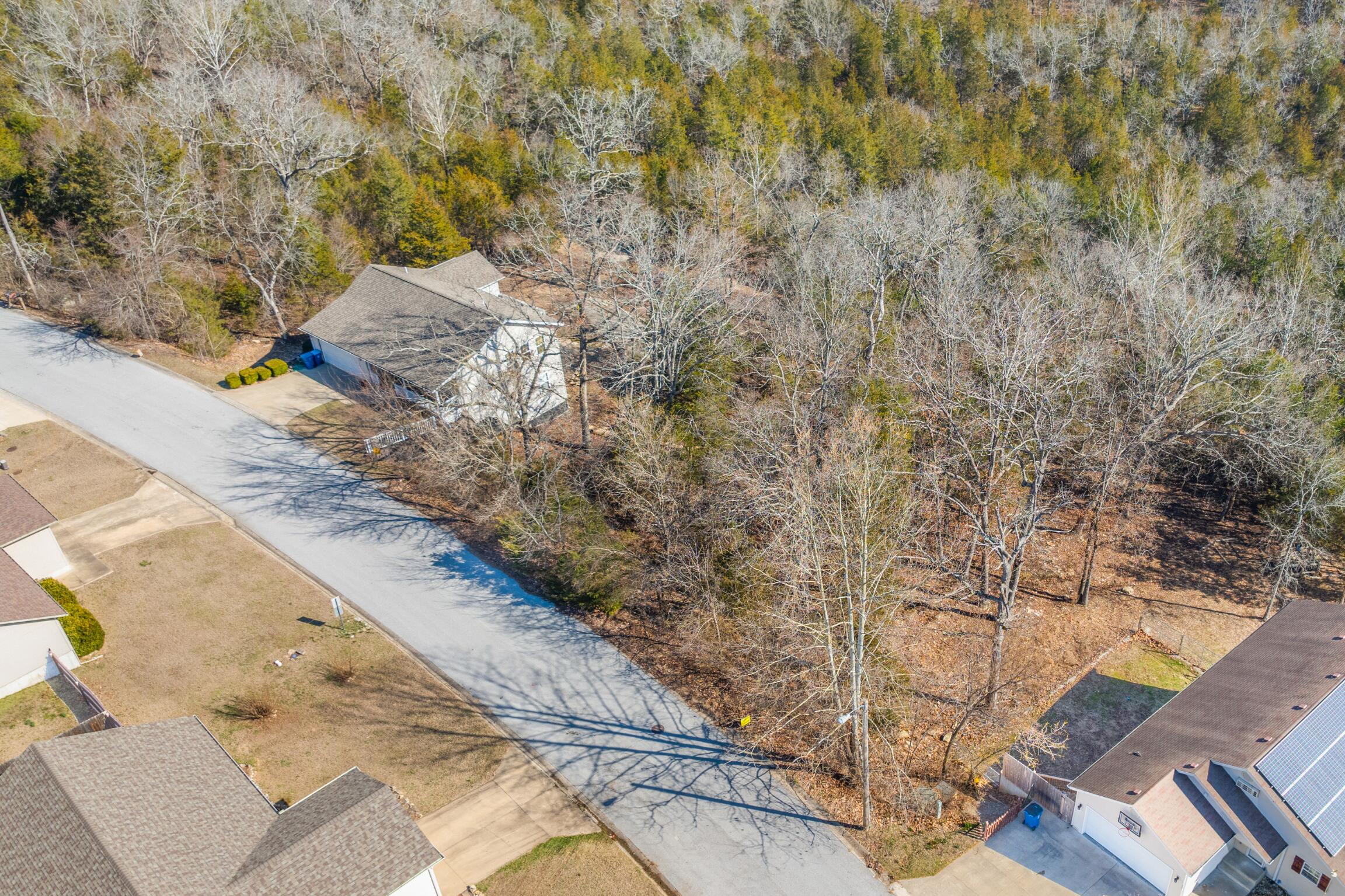 Photo 2 - Land for sale – Lot  59 Eagle   Forsyth, MO