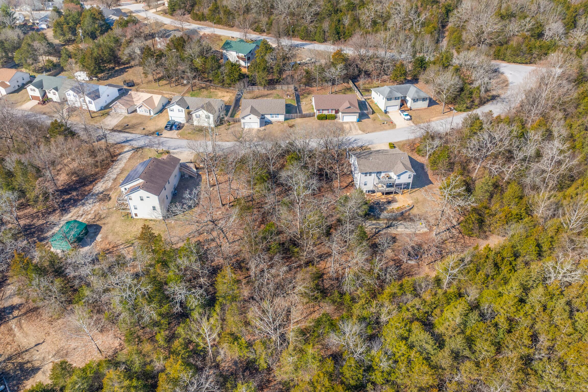 Photo 4 - Land for sale – Lot  59 Eagle   Forsyth, MO