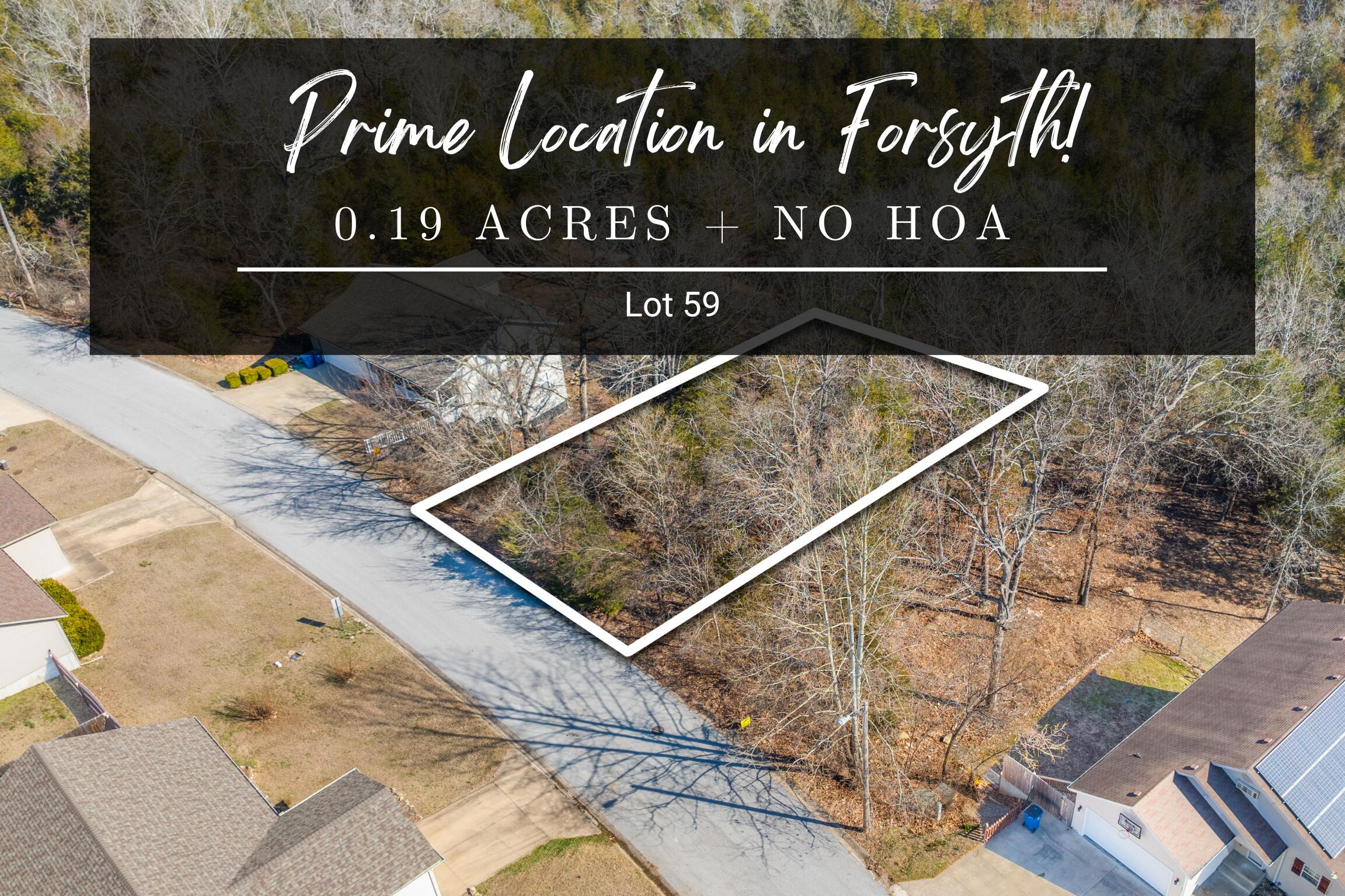 Land for sale – Lot  59 Eagle   Forsyth, MO