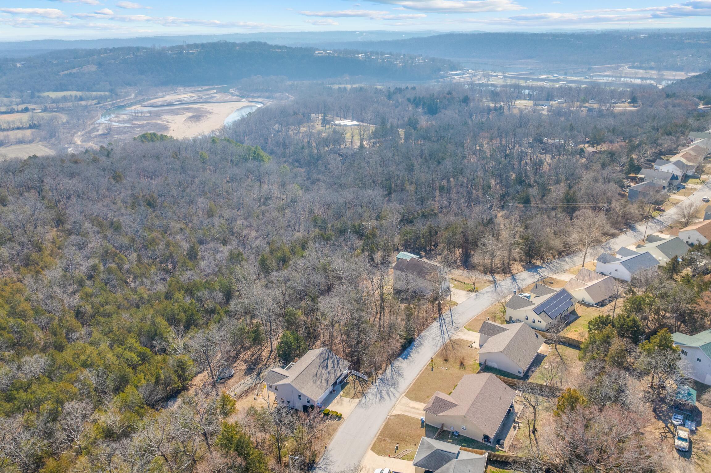Photo 6 - Land for sale – Lot  59 Eagle   Forsyth, MO