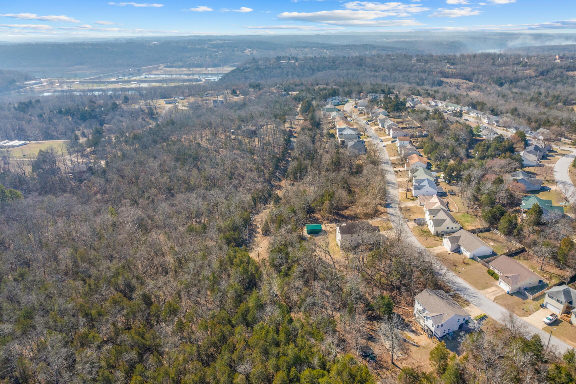 Photo 8 - Land for sale – Lot  59 Eagle   Forsyth, MO