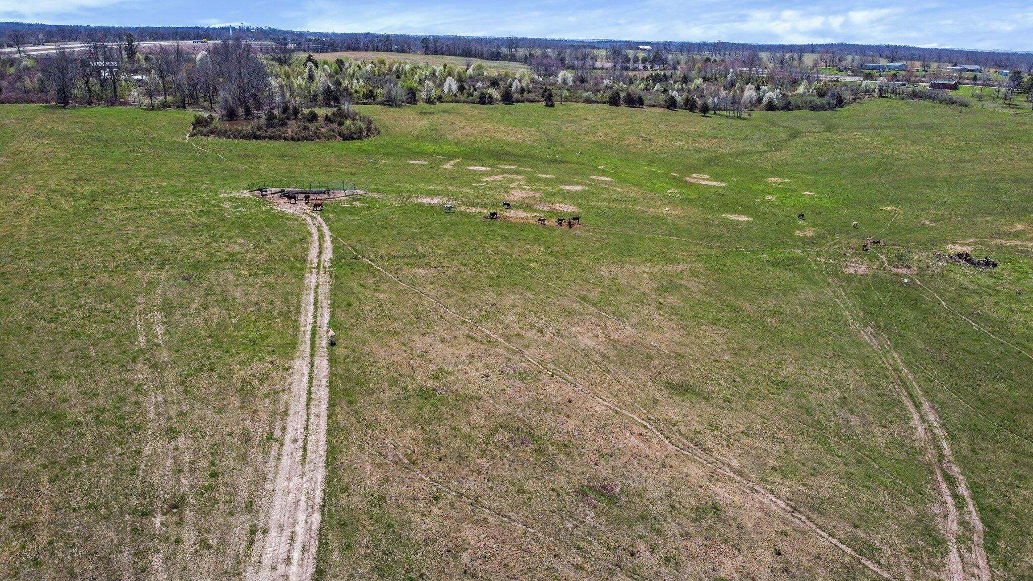 Photo 4 - Land for sale – 000  Highway 63   West Plains, MO