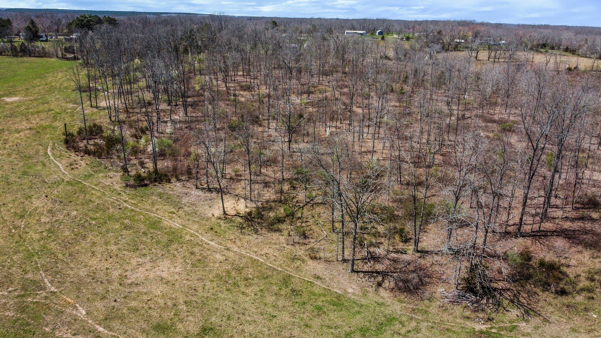 Photo 5 - Land for sale – 000  Highway 63   West Plains, MO