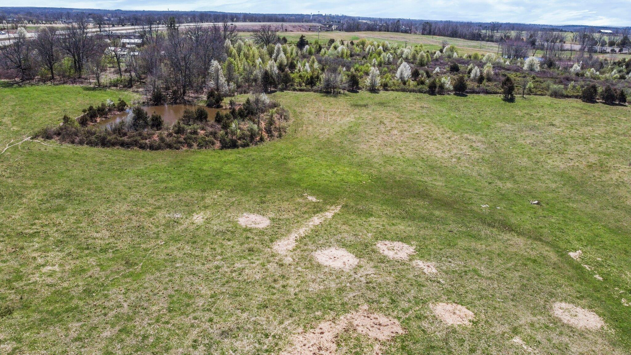 Photo 10 - Land for sale – 000  Highway 63   West Plains, MO