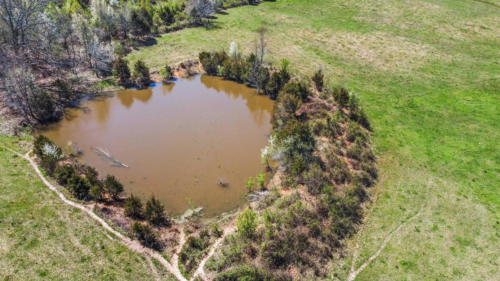 Photo 14 - Land for sale – 000  Highway 63   West Plains, MO