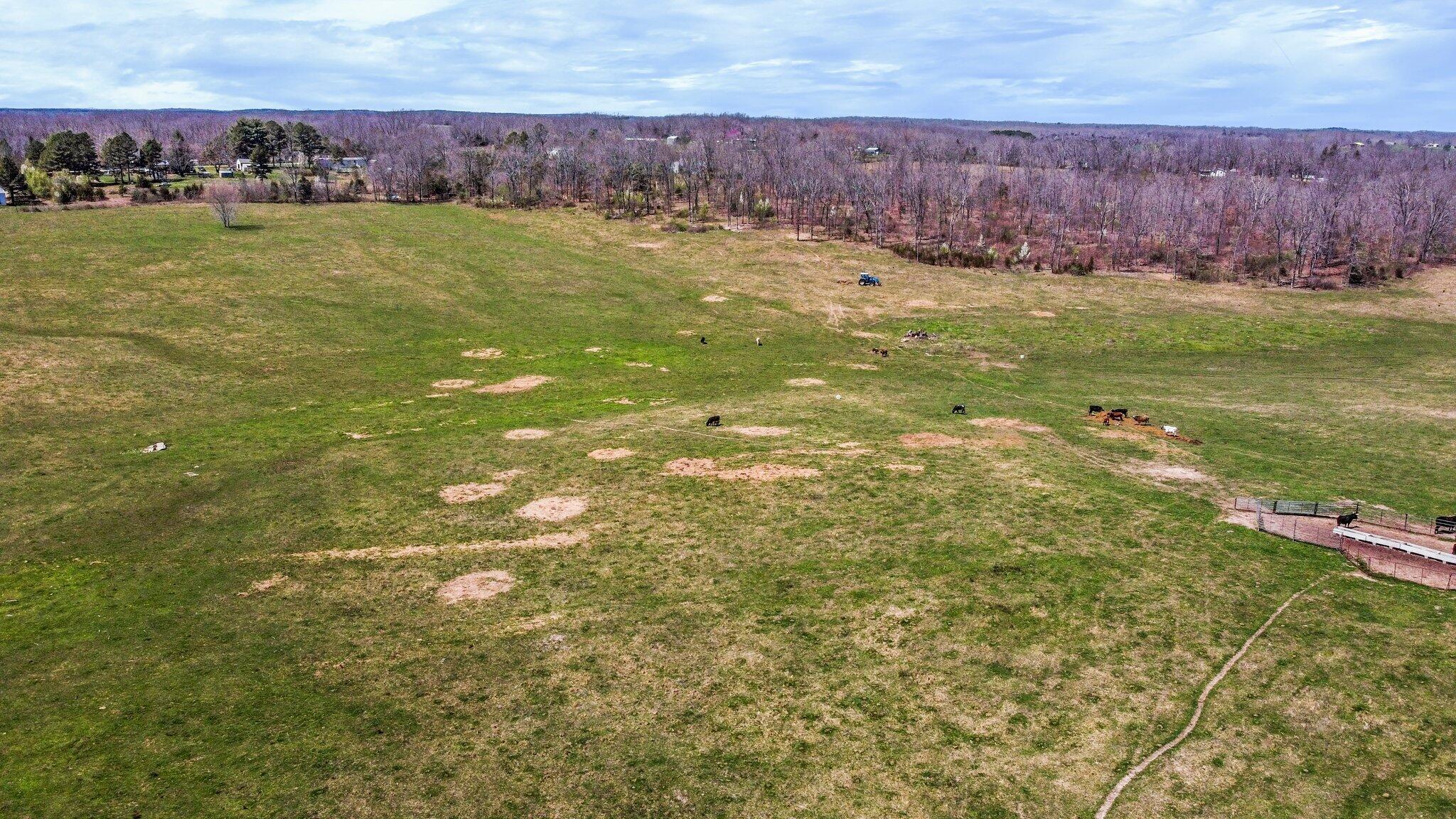 Photo 16 - Land for sale – 000  Highway 63   West Plains, MO