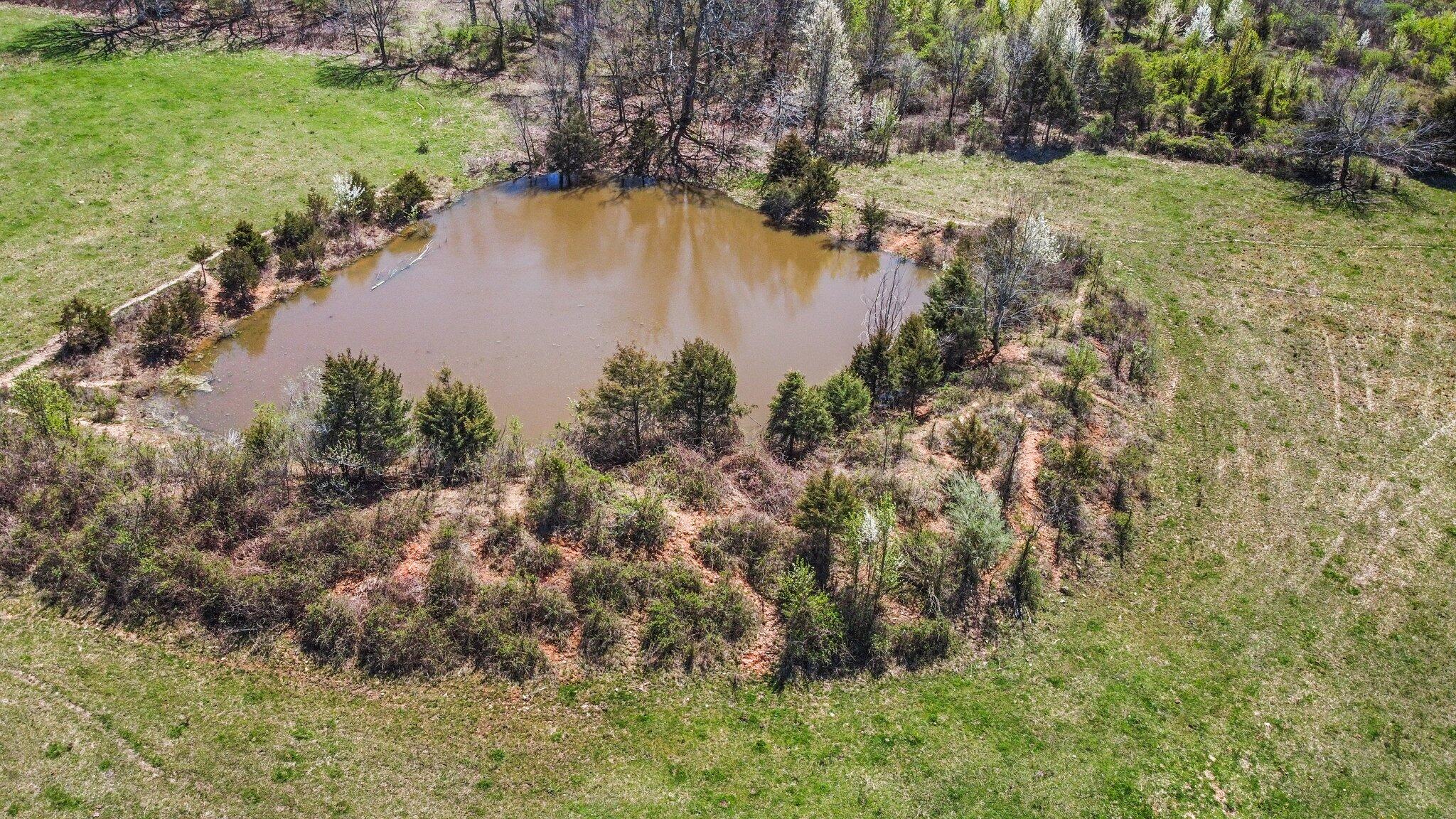 Photo 13 - Land for sale – 000  Highway 63   West Plains, MO