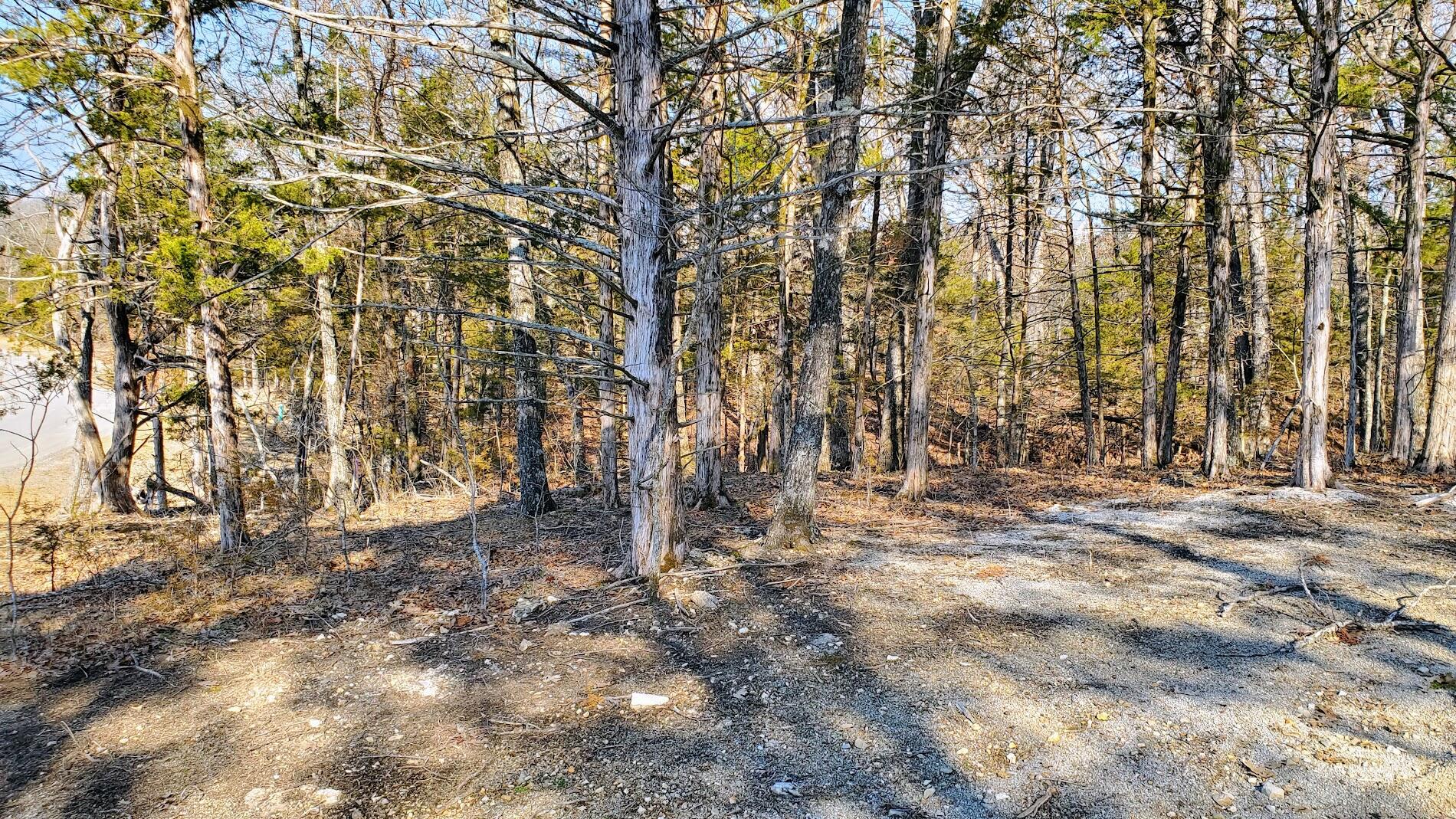 Photo 2 - Land for sale – 000  Lot 95 Summer Breeze   Kimberling City, MO