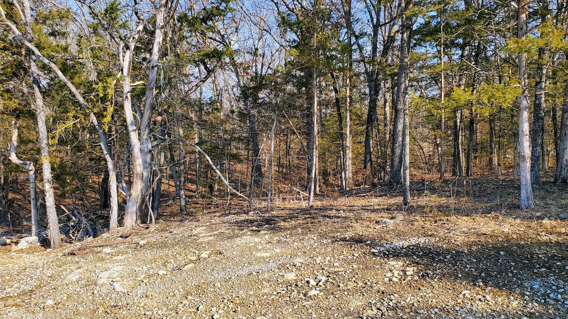 Land for sale – 000  Lot 95 Summer Breeze   Kimberling City, MO