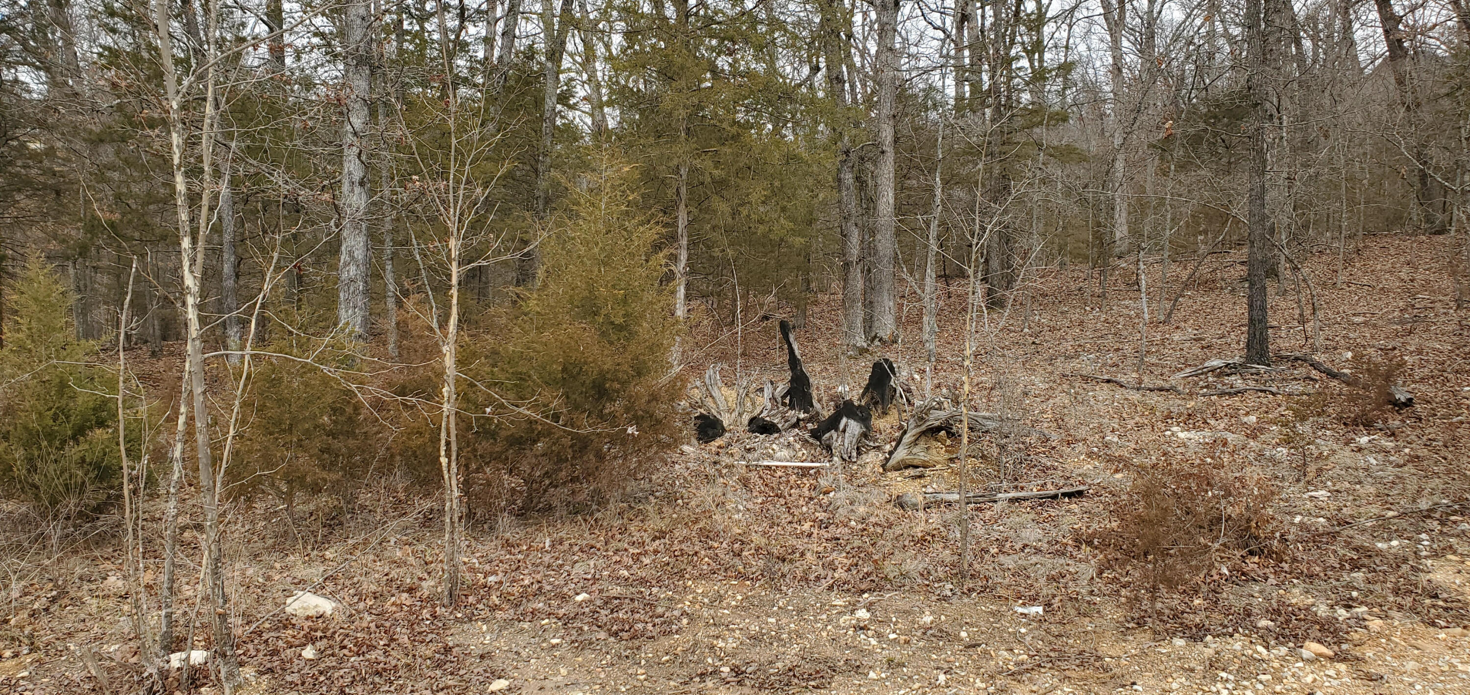Land for sale – 000  Lot 97 Summer Breeze Lane  Kimberling City, MO