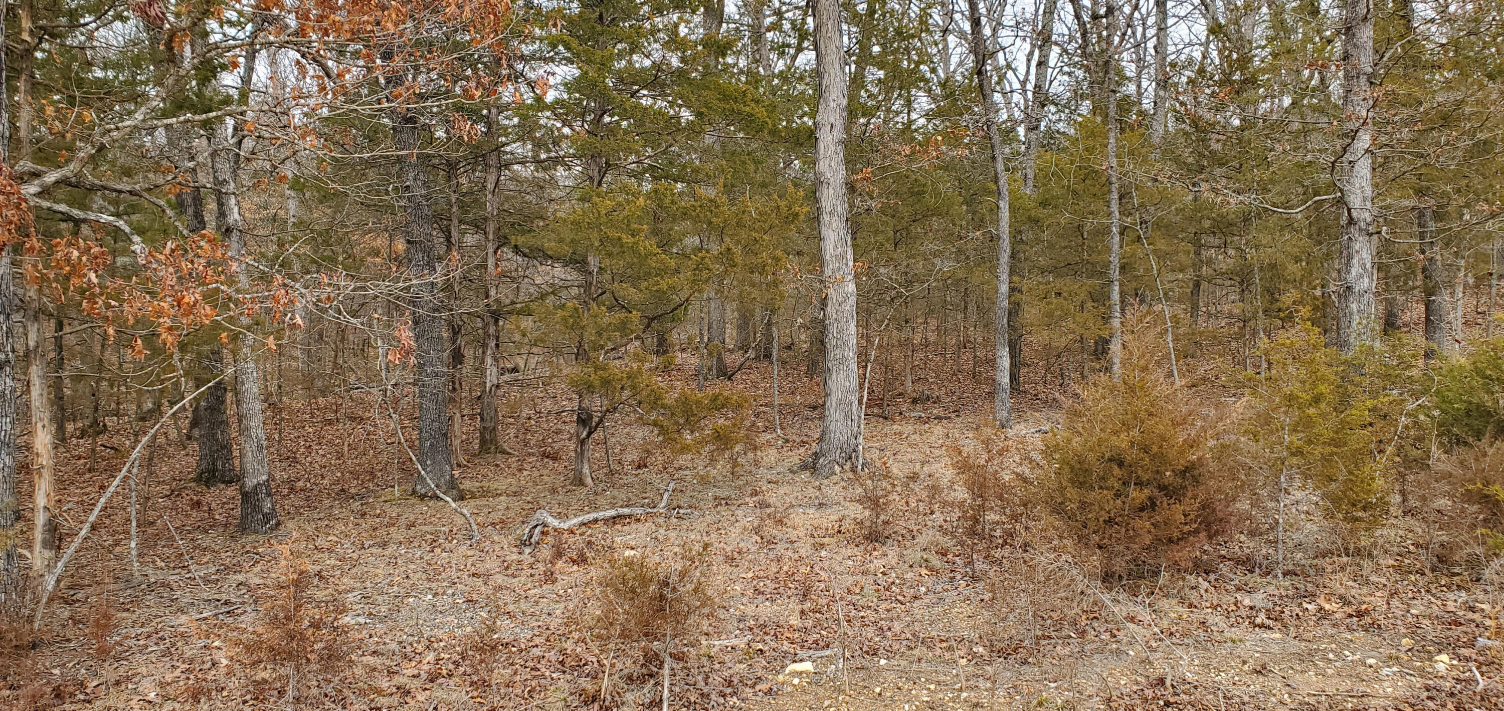 Photo 2 - Land for sale – 000  Lot 97 Summer Breeze Lane  Kimberling City, MO