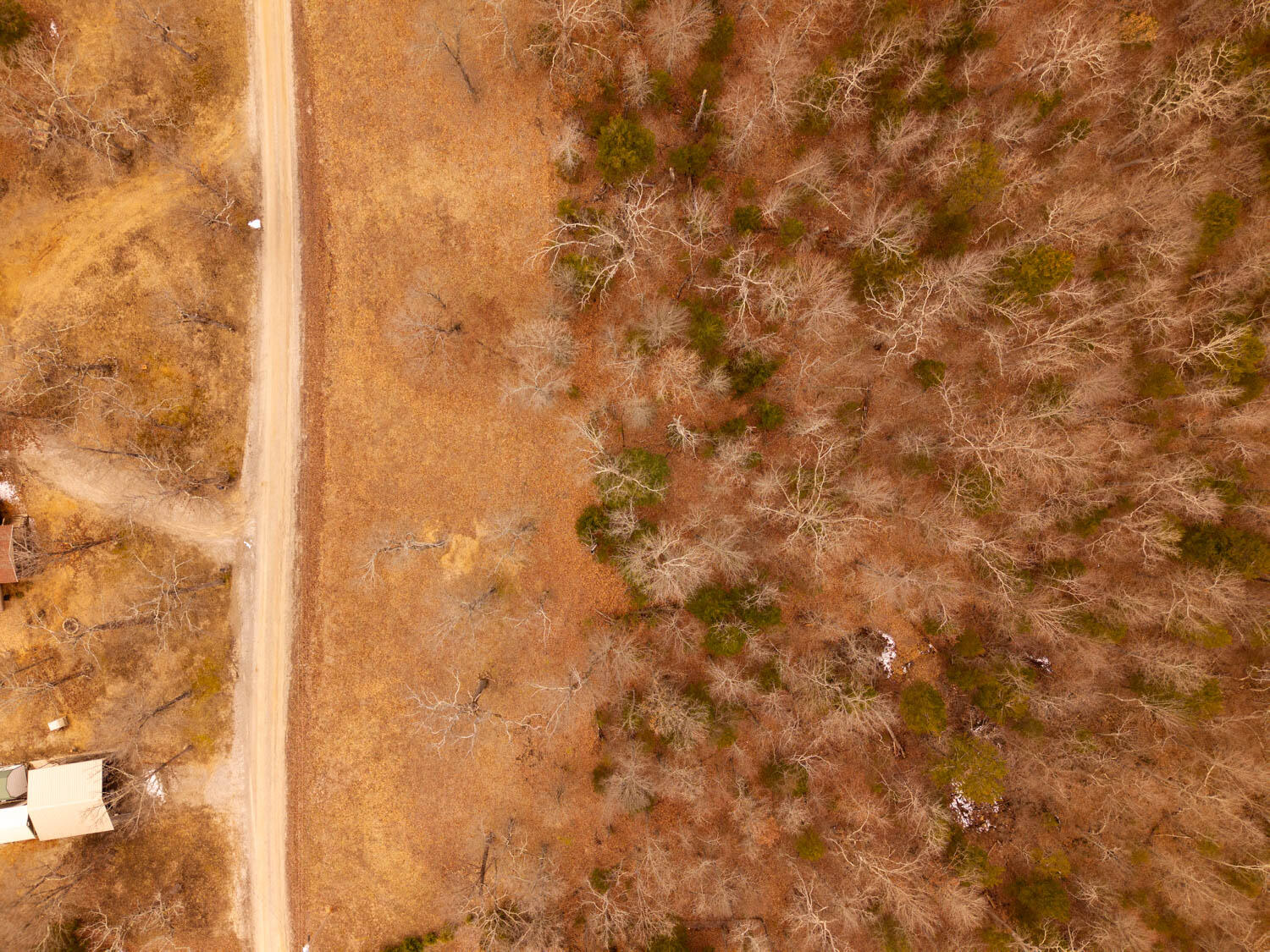 Photo 2 - Land for sale – Lot 18  Oakridge Drive   Gepp, AR