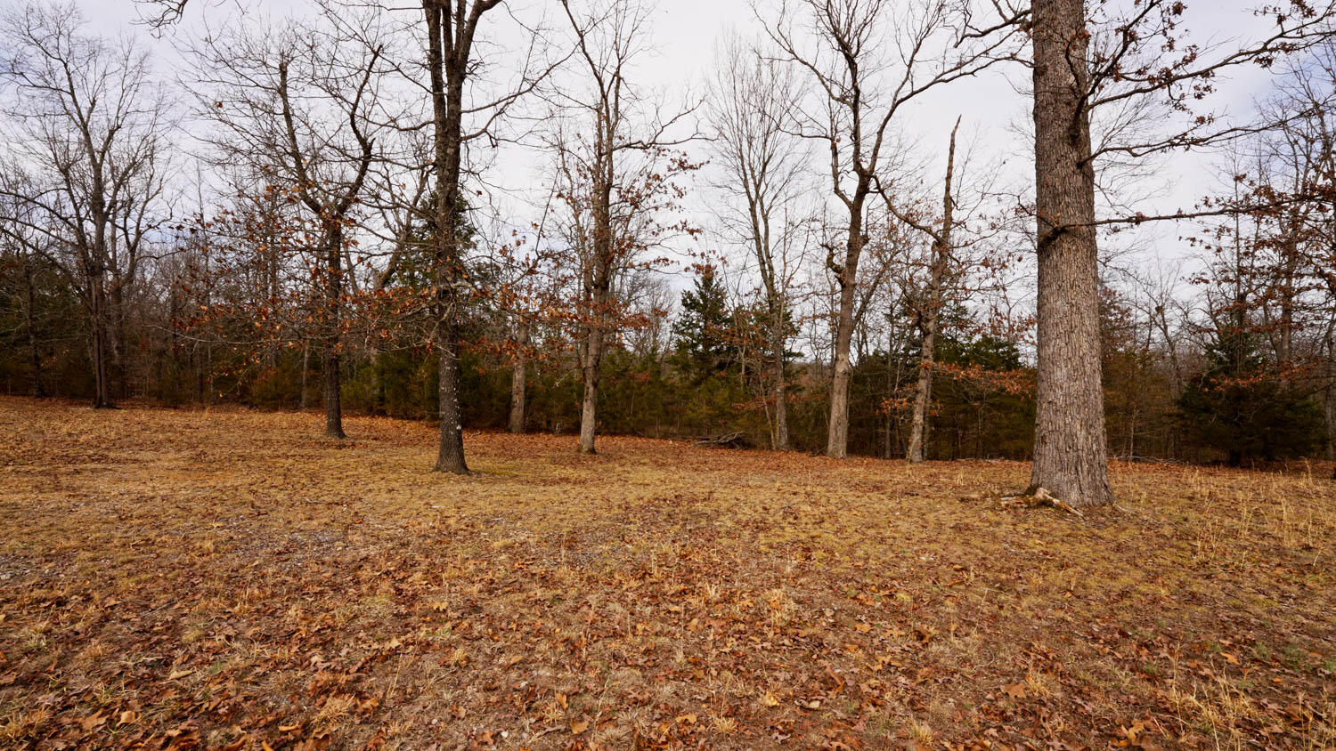 Land for sale – Lot 18  Oakridge Drive   Gepp, AR